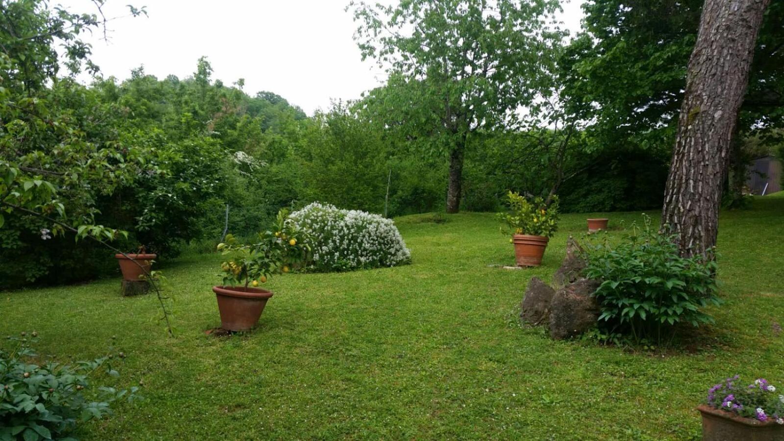 B&B Appartamenti Villa del lago view 3