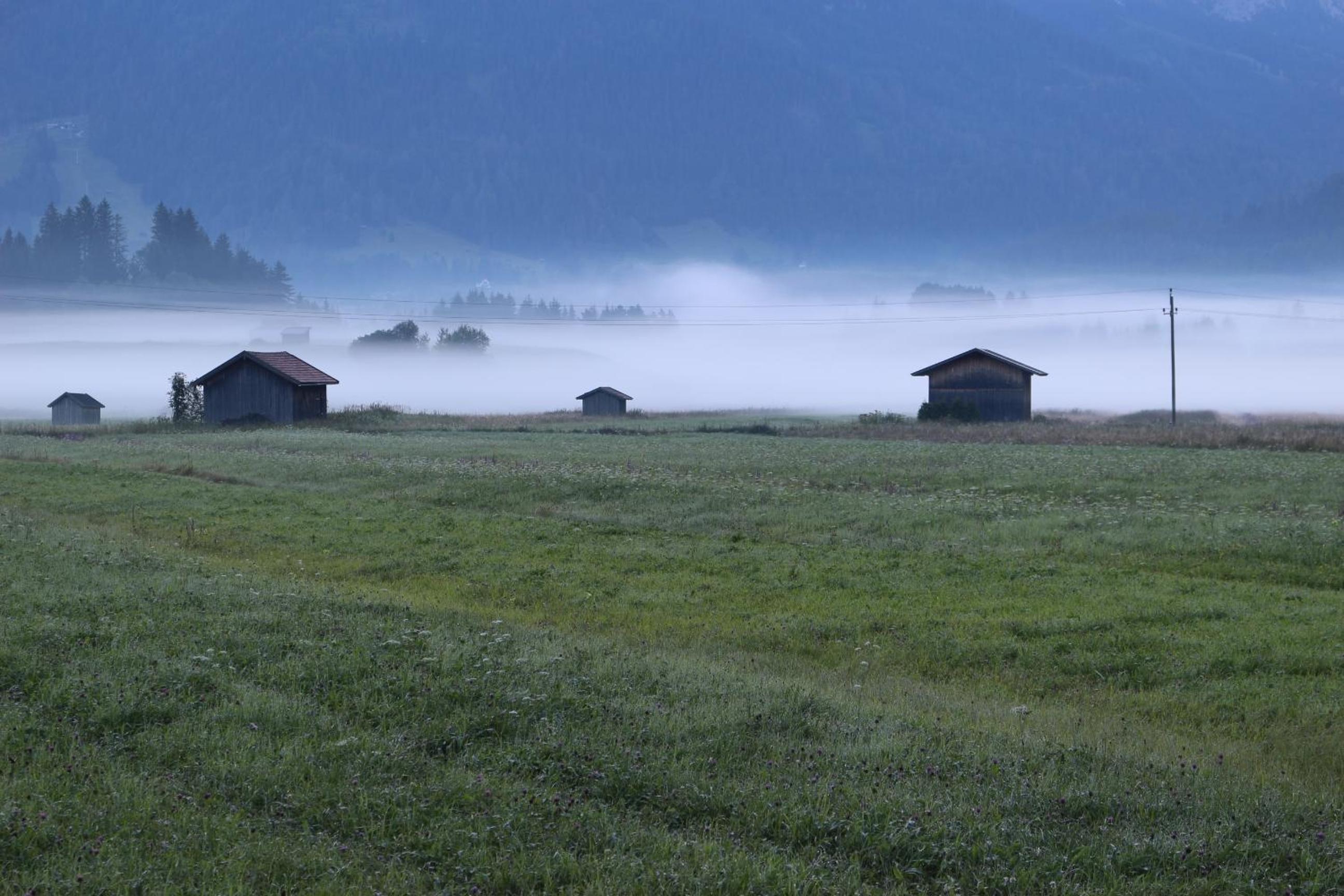 Alpenhof