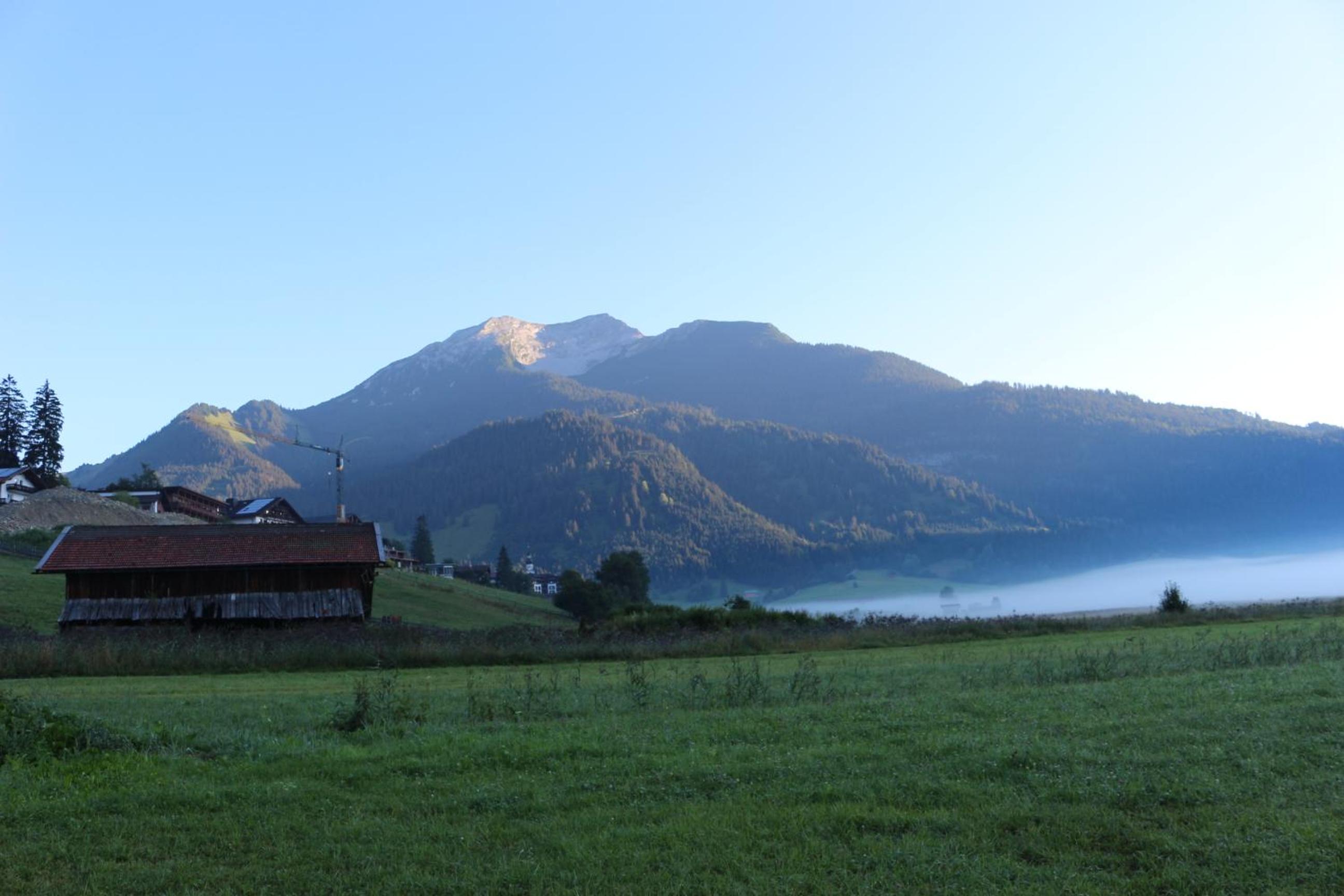 Alpenhof