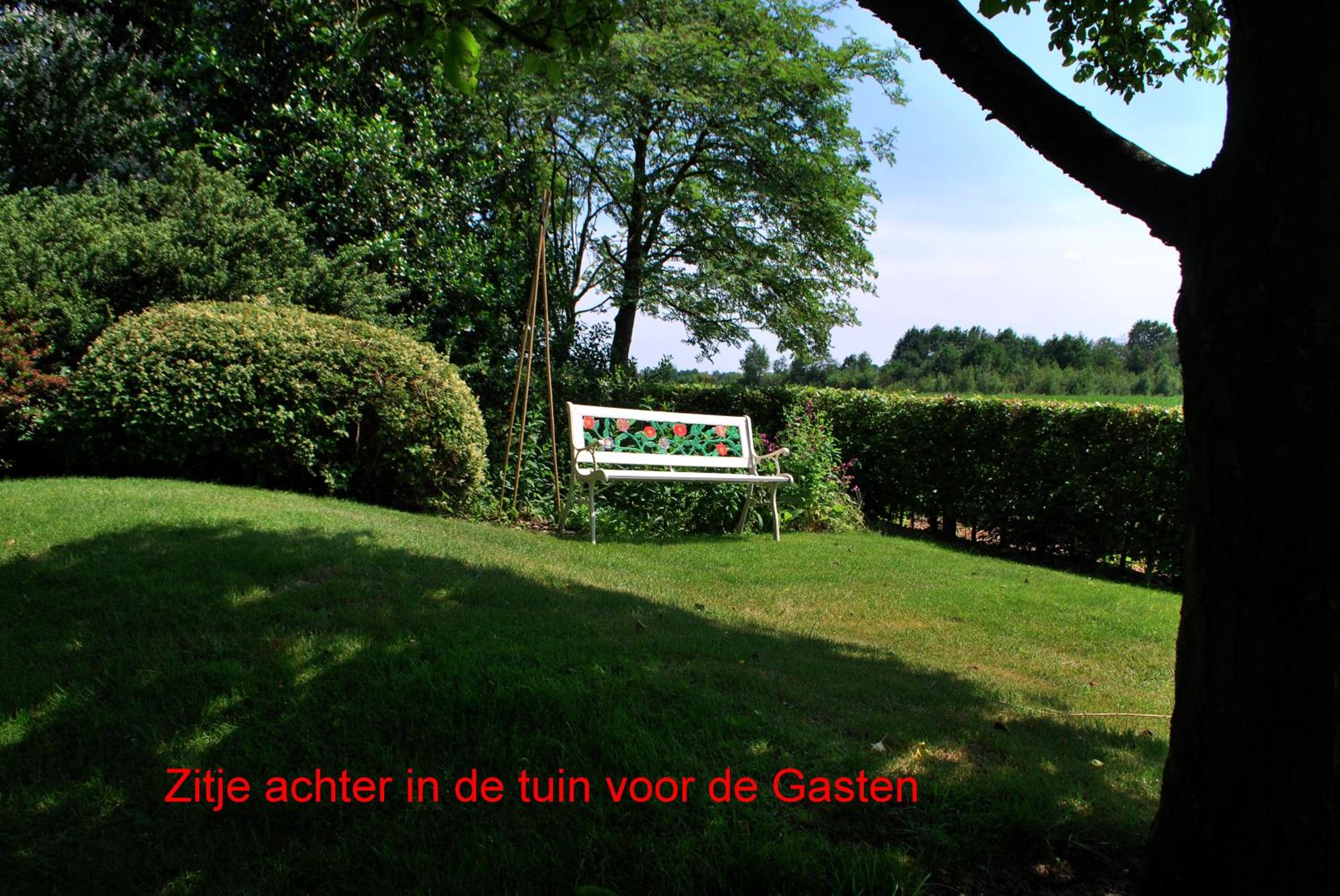 Photo 46