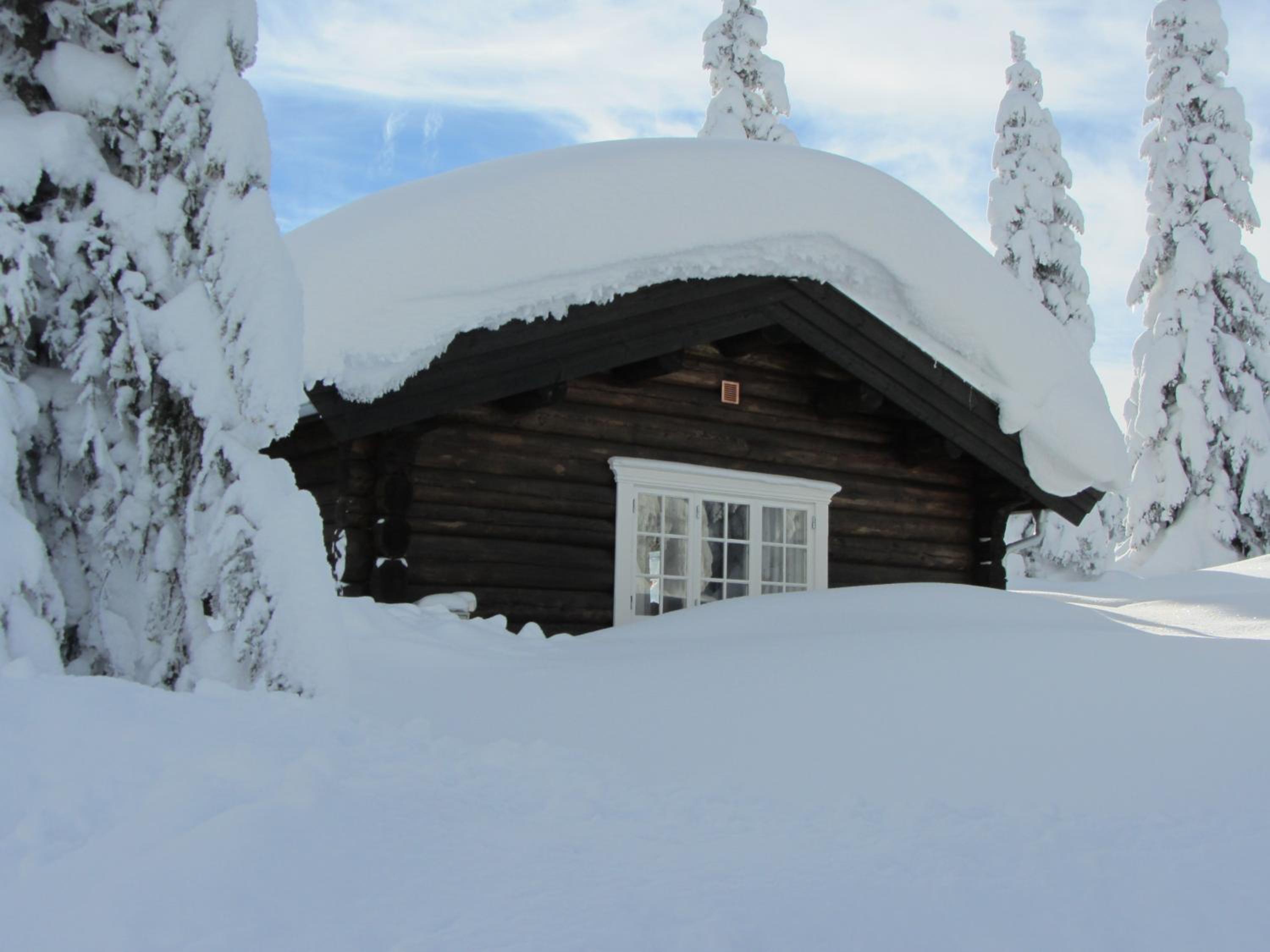 Koselig familiehytte sentralt på Skeikampen til leie view 3