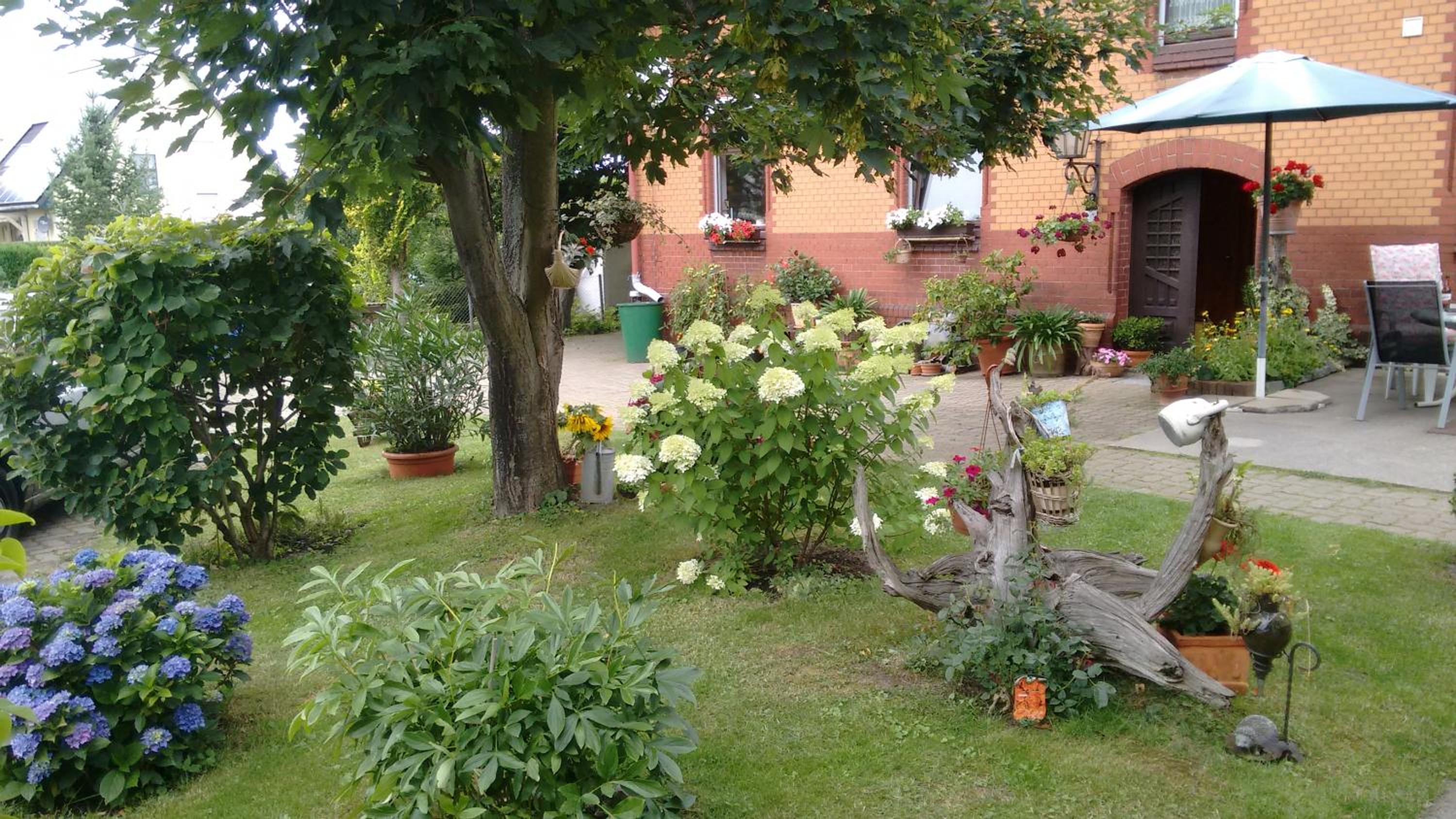 Photo 24