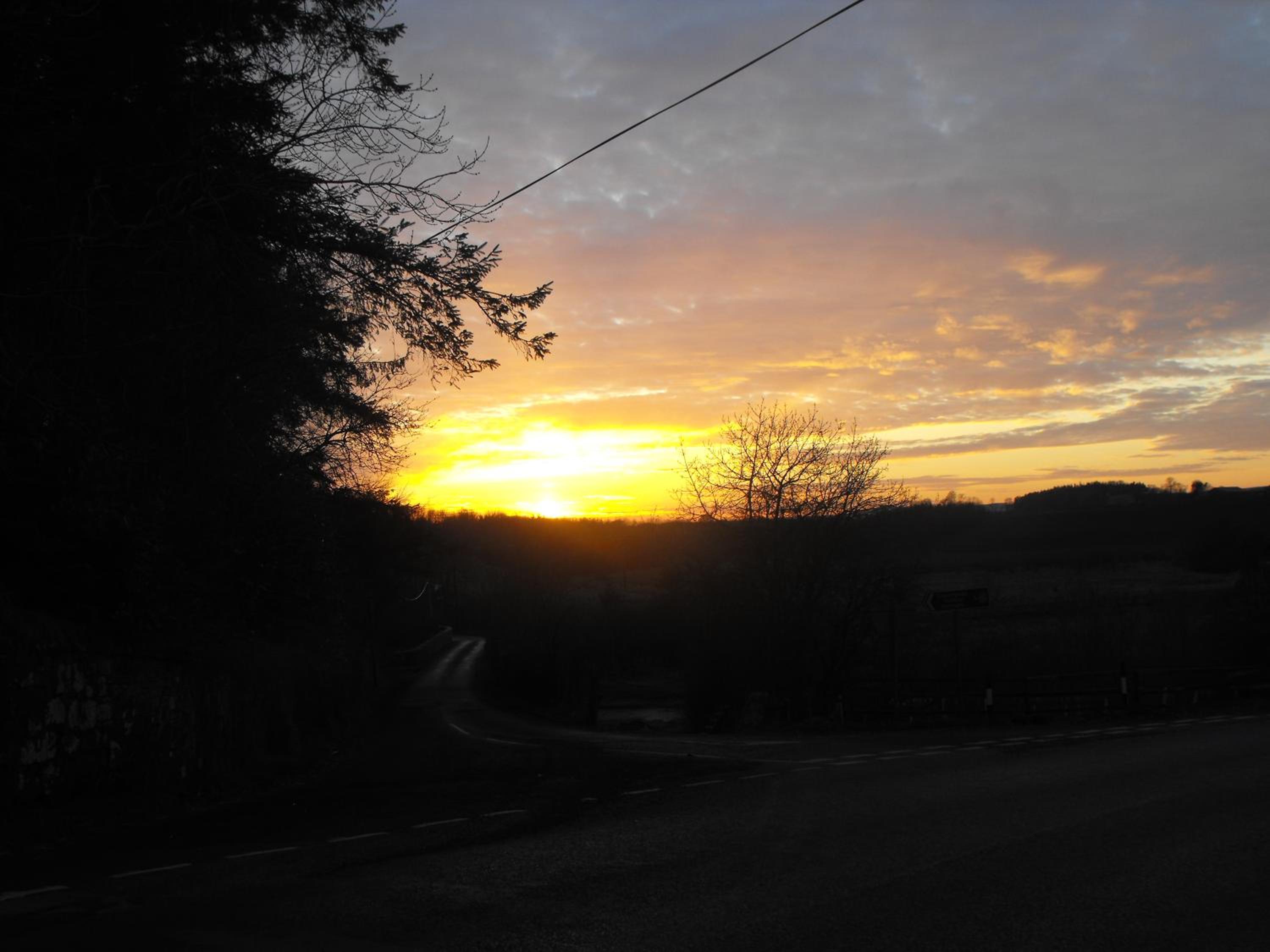 Photo 42