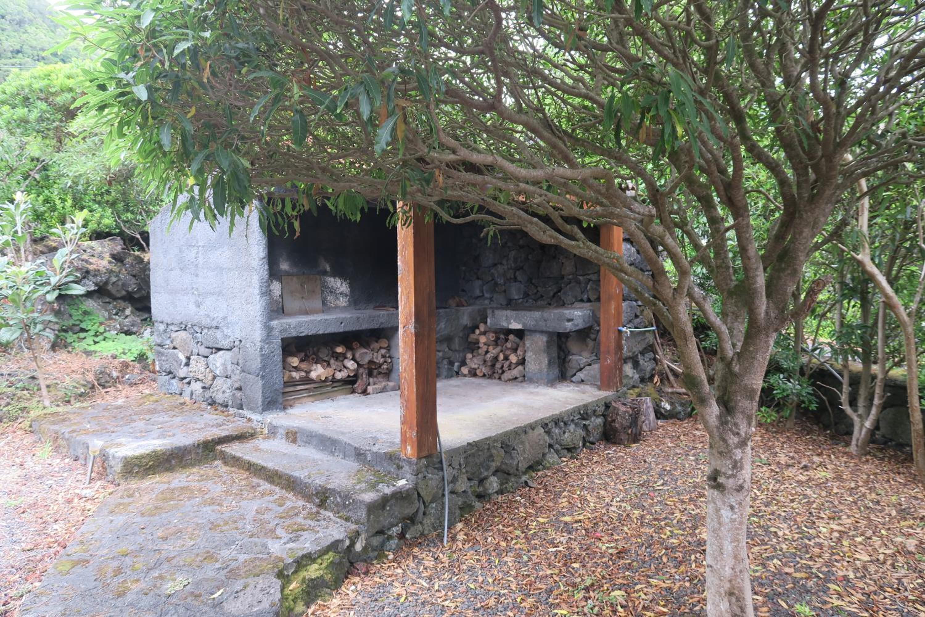 Photo 46