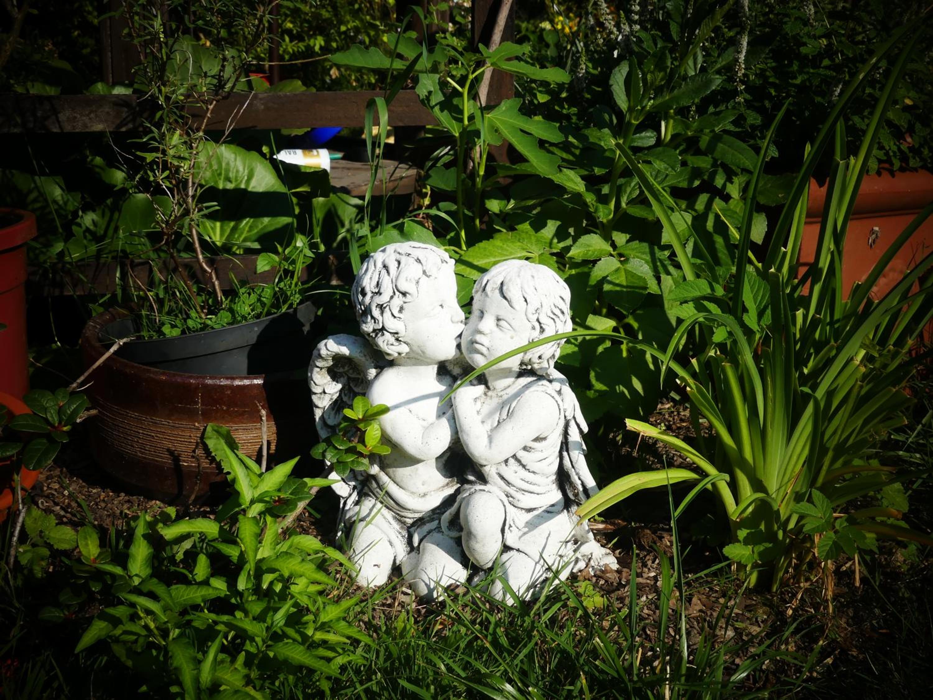 Photo 57