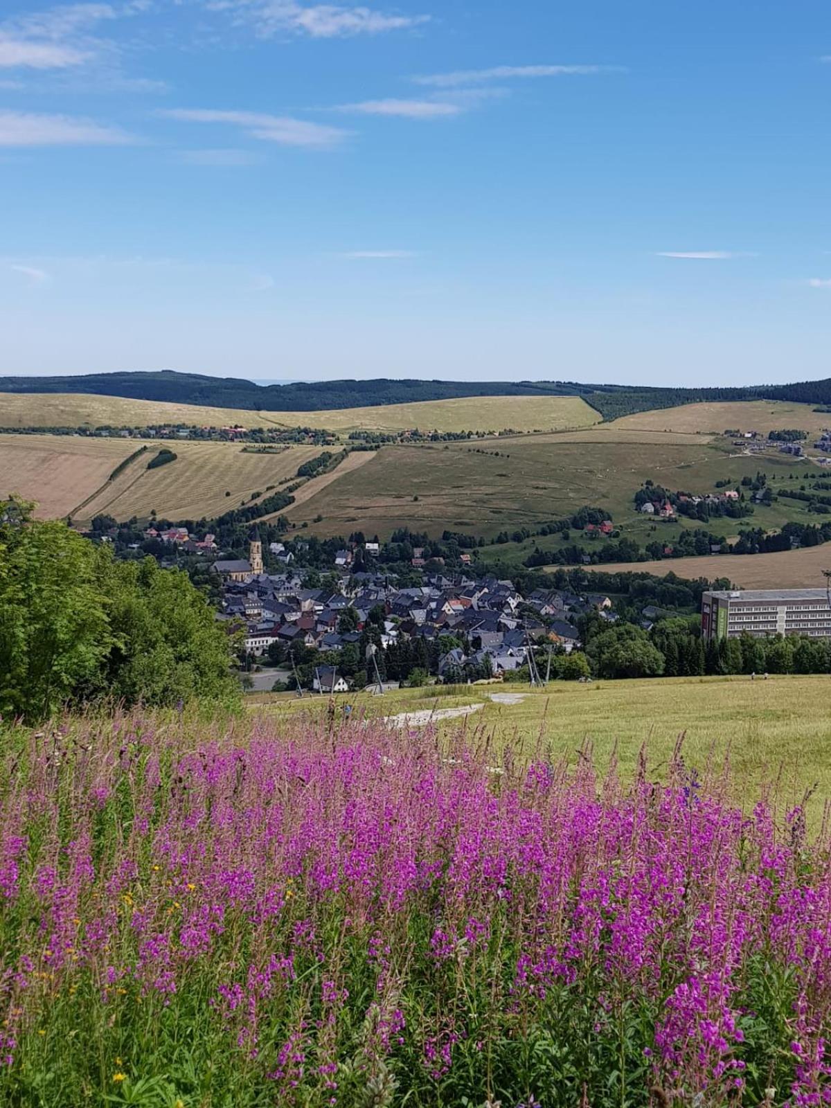 Ferienwohnungen Fam. Lippert view 5