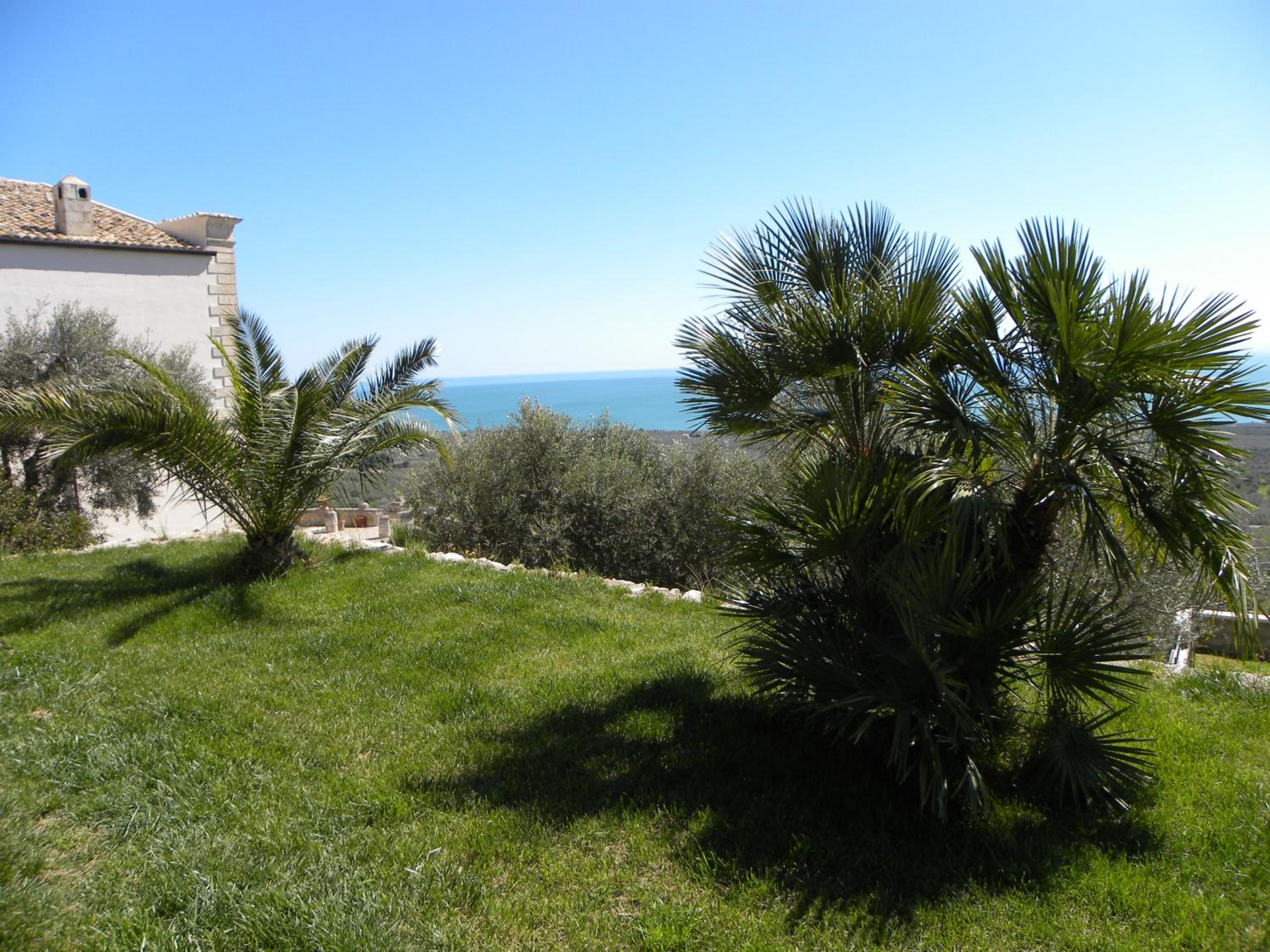 Photo 44