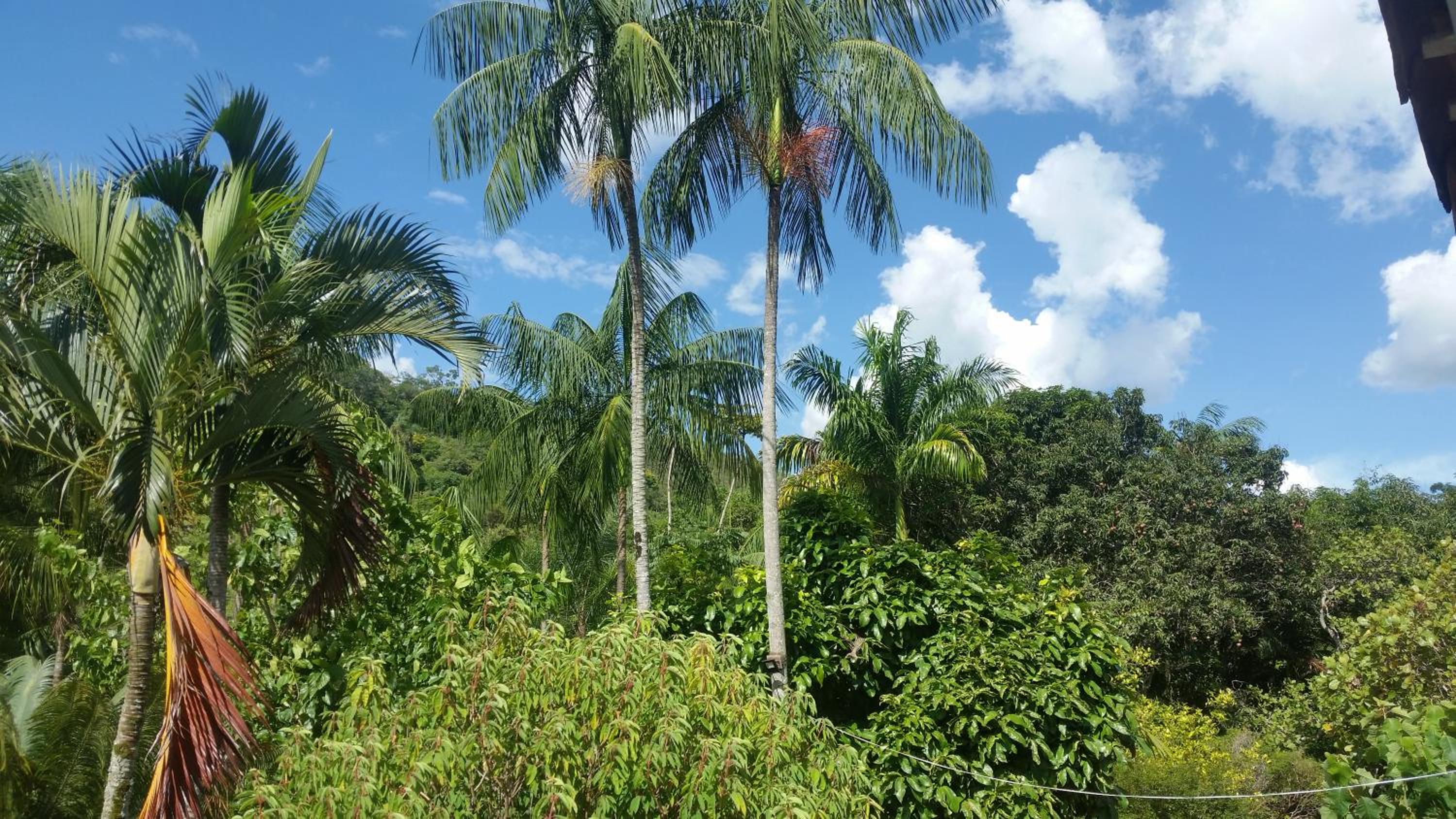 Sítio Lavras do Abade