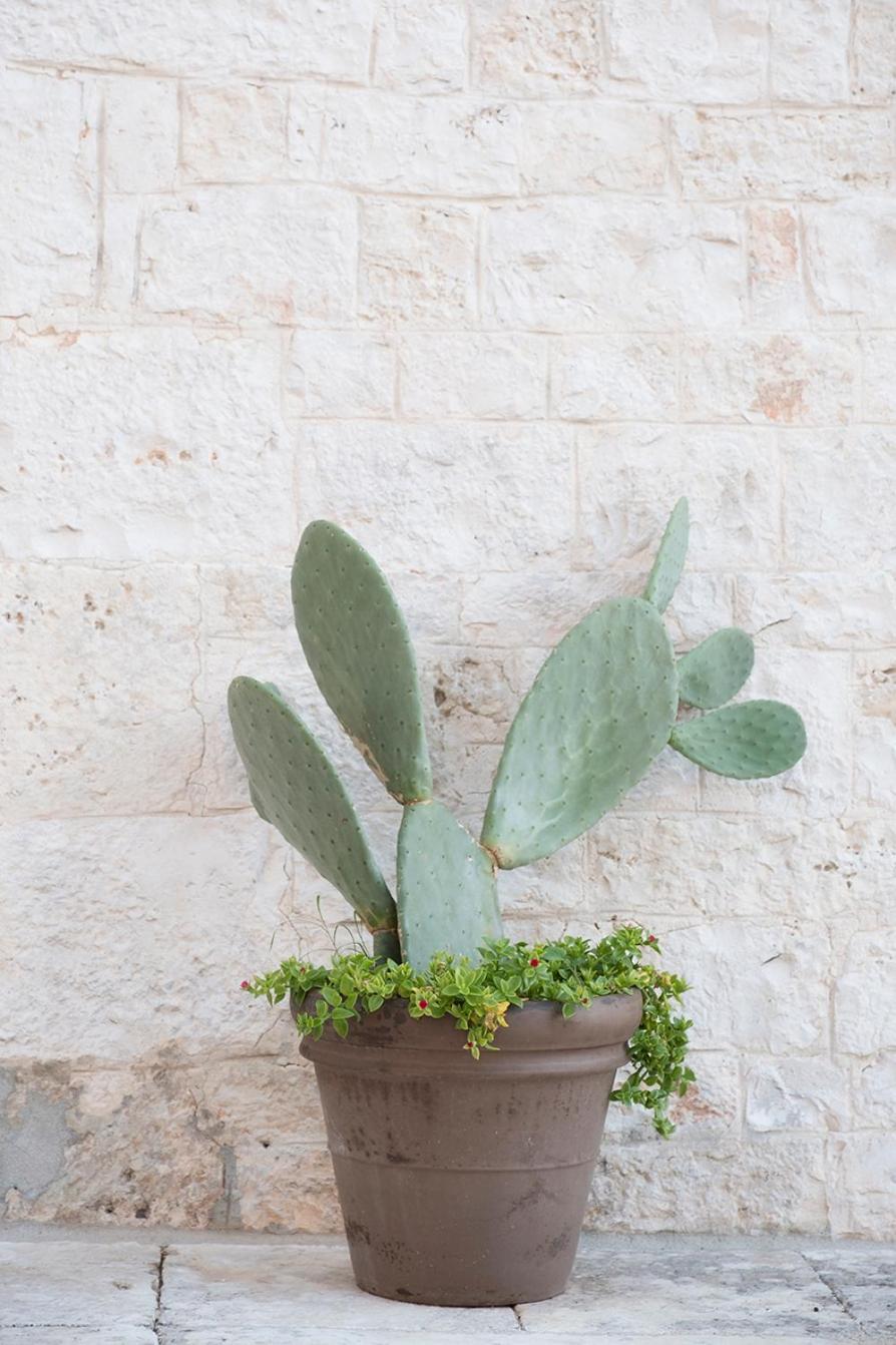Masseria di Trulli Escape