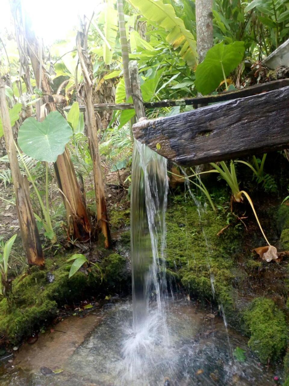 Sítio Lavras do Abade