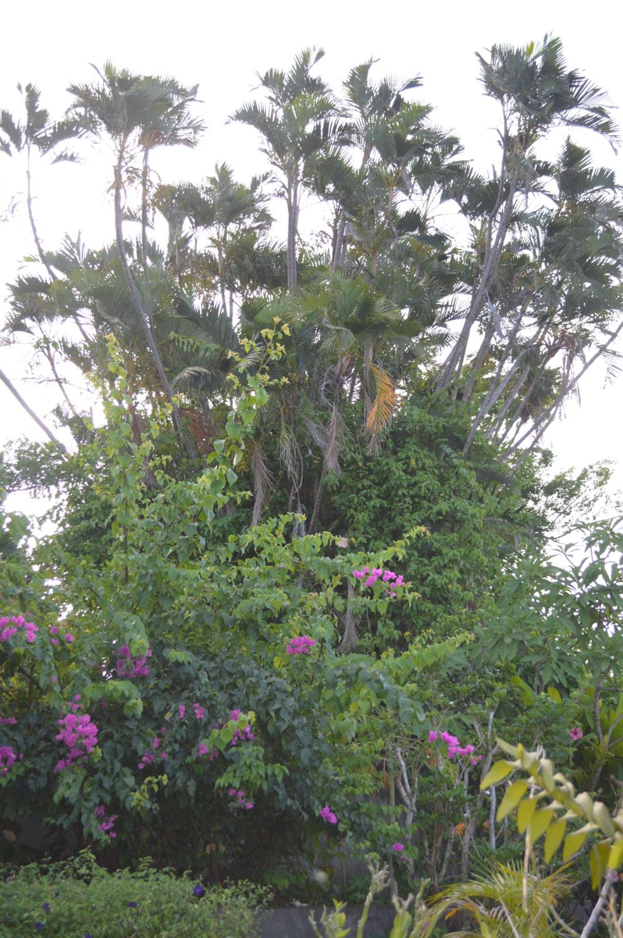 Photo 28
