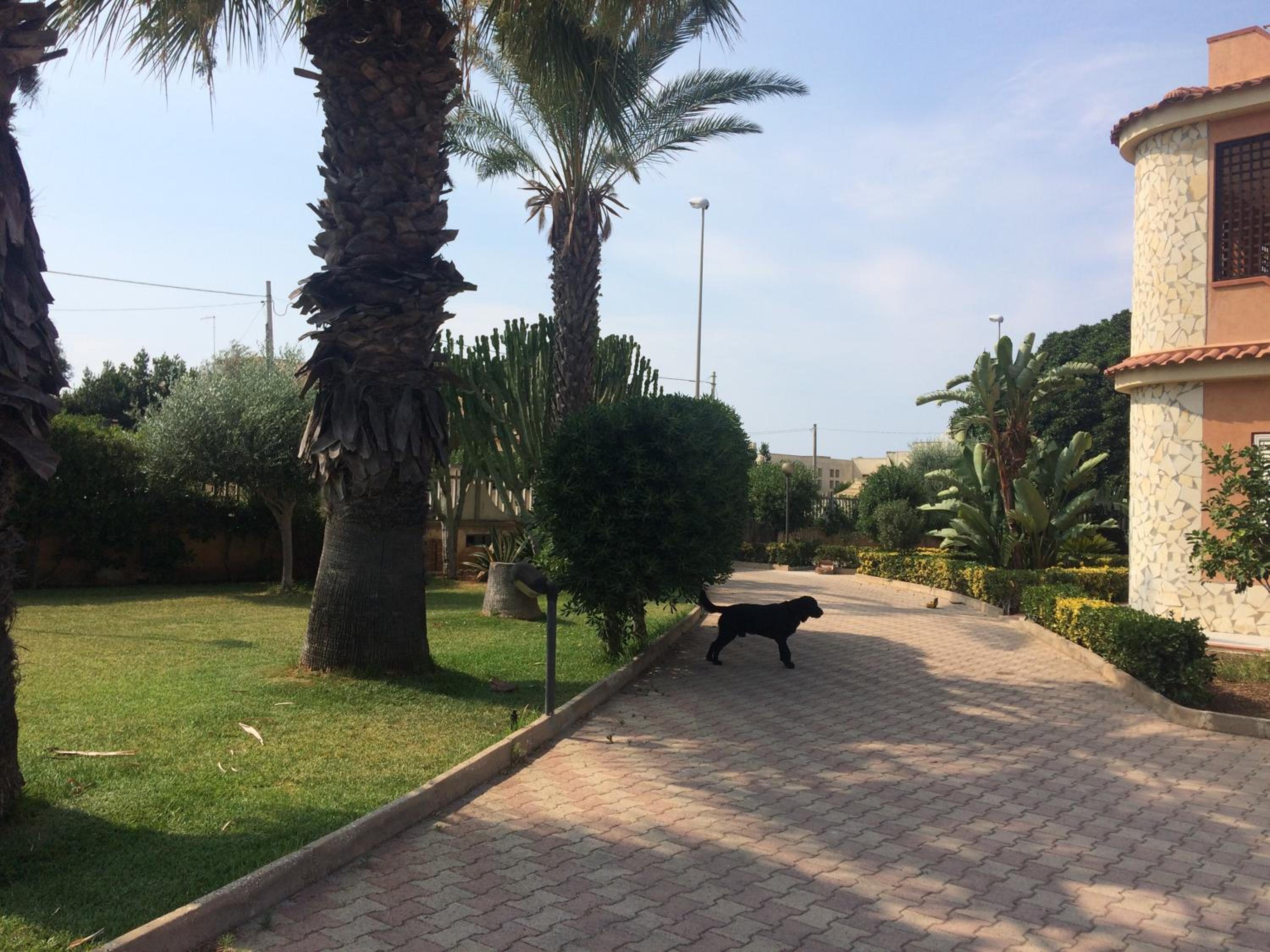 Photo 19