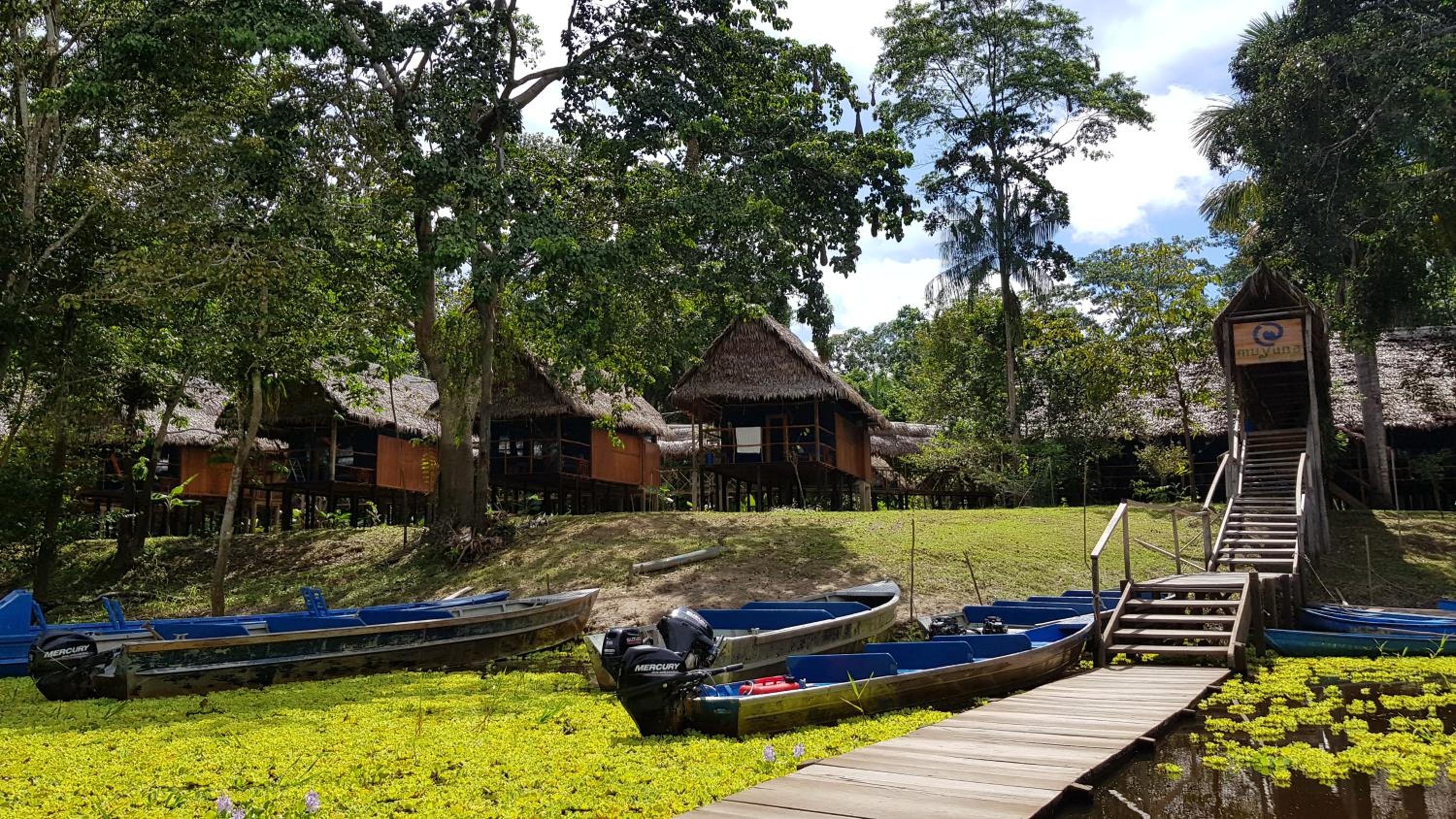 Amazon Muyuna Lodge - All Inclusive