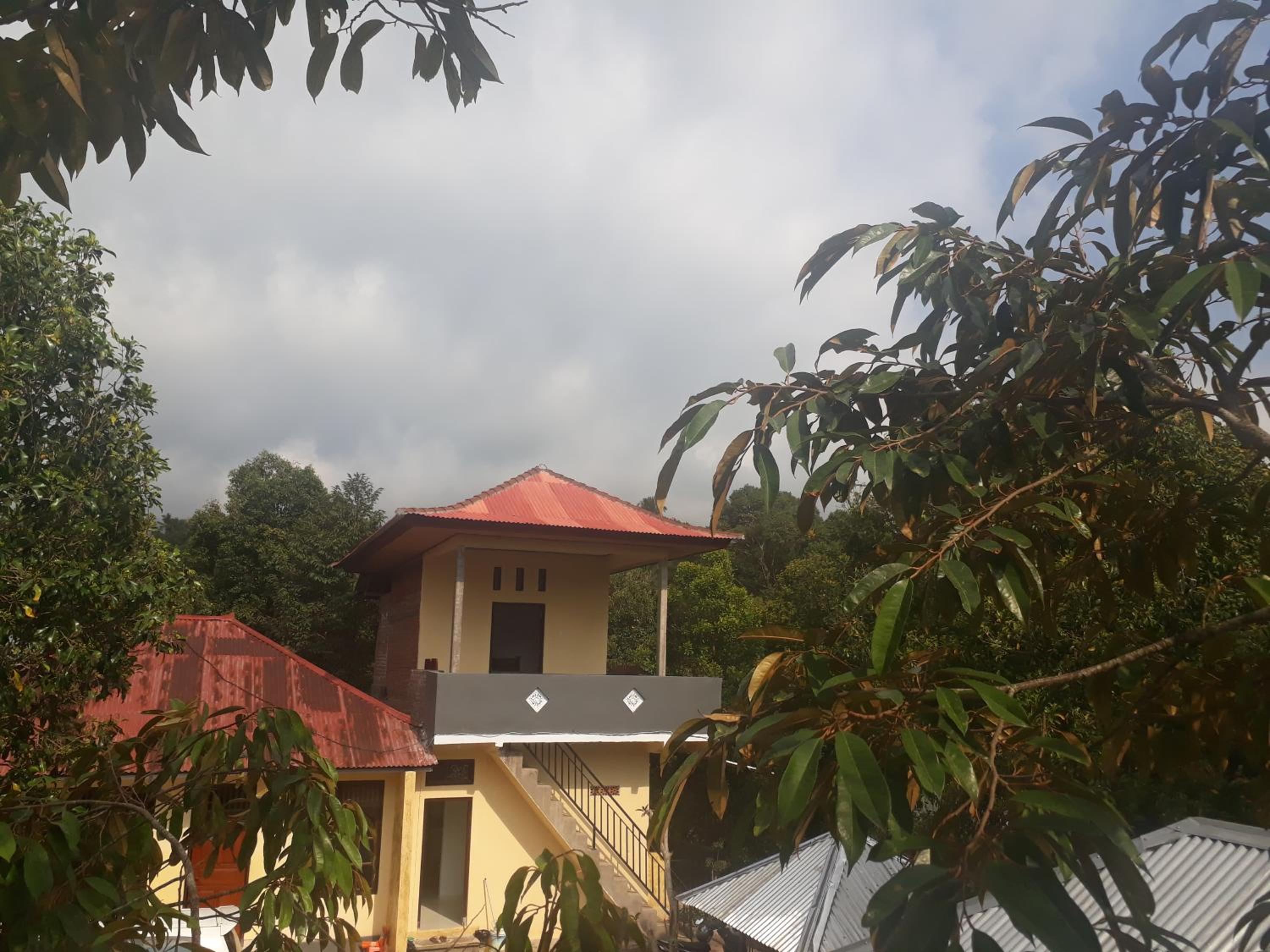 Photo 198