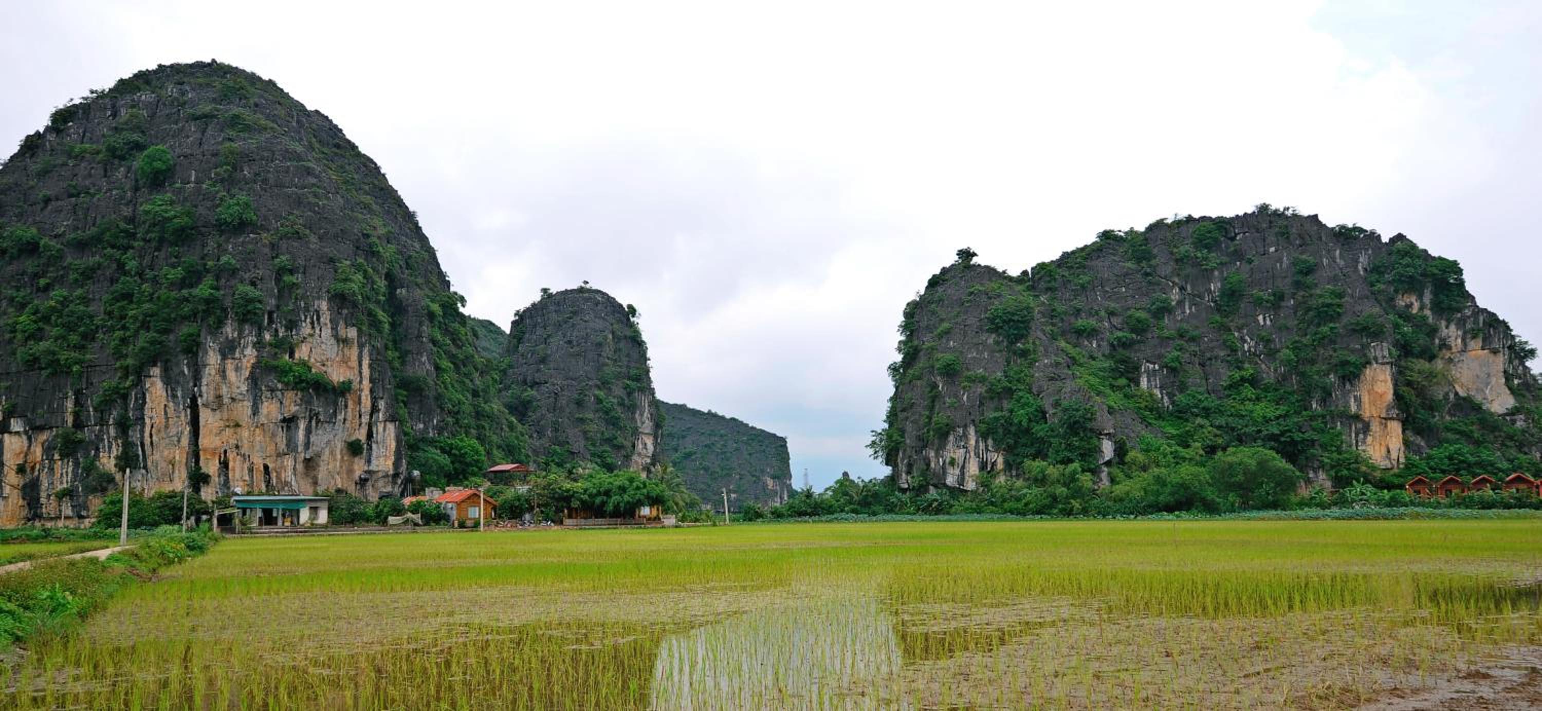 Tam Coc Eco Field Nest By ANMS GROUP