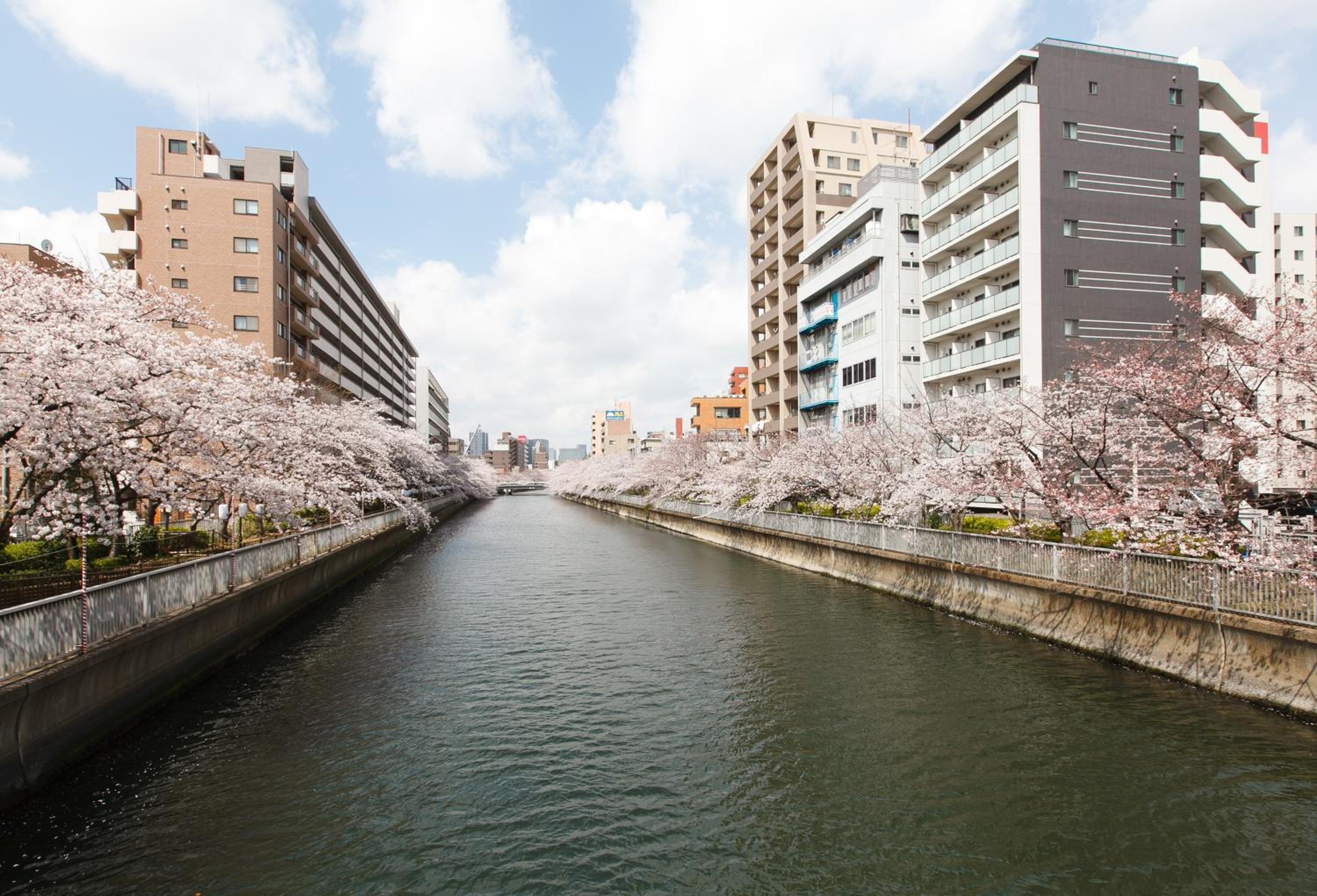 Day Nice Hotel Tokyo