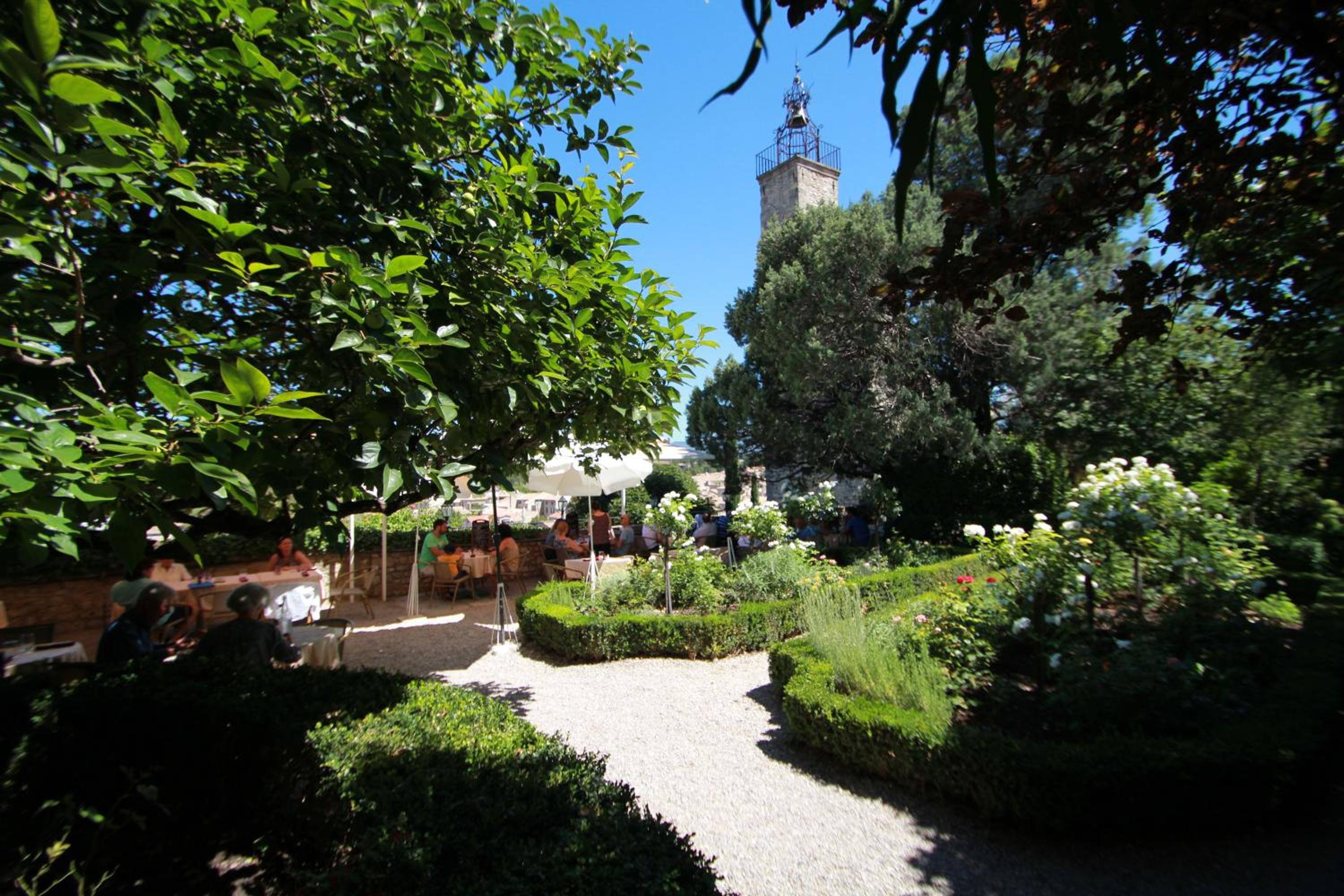 garden