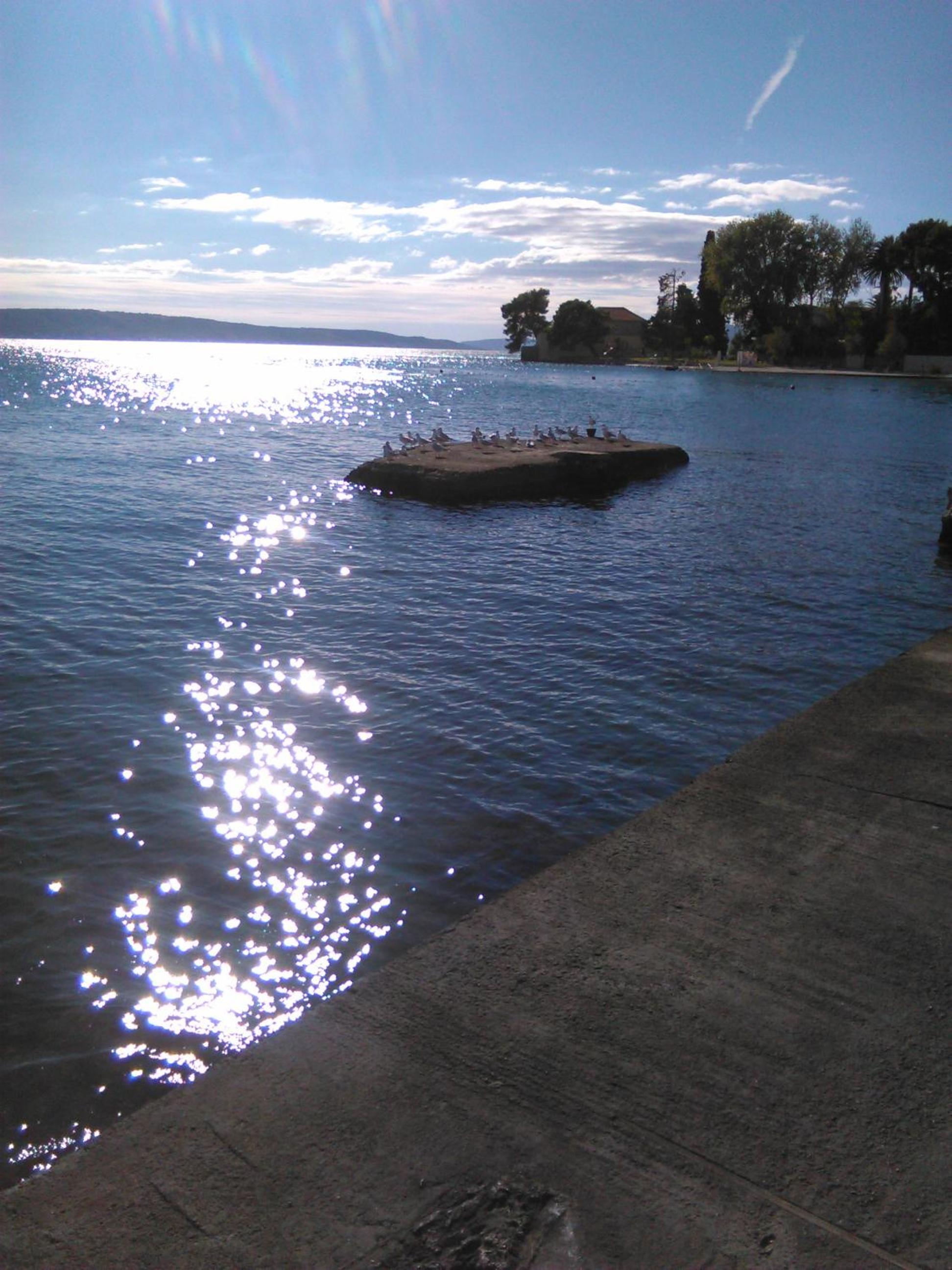 Allegria view 2
