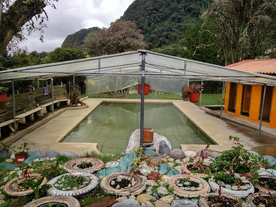 Termas El Pantanal