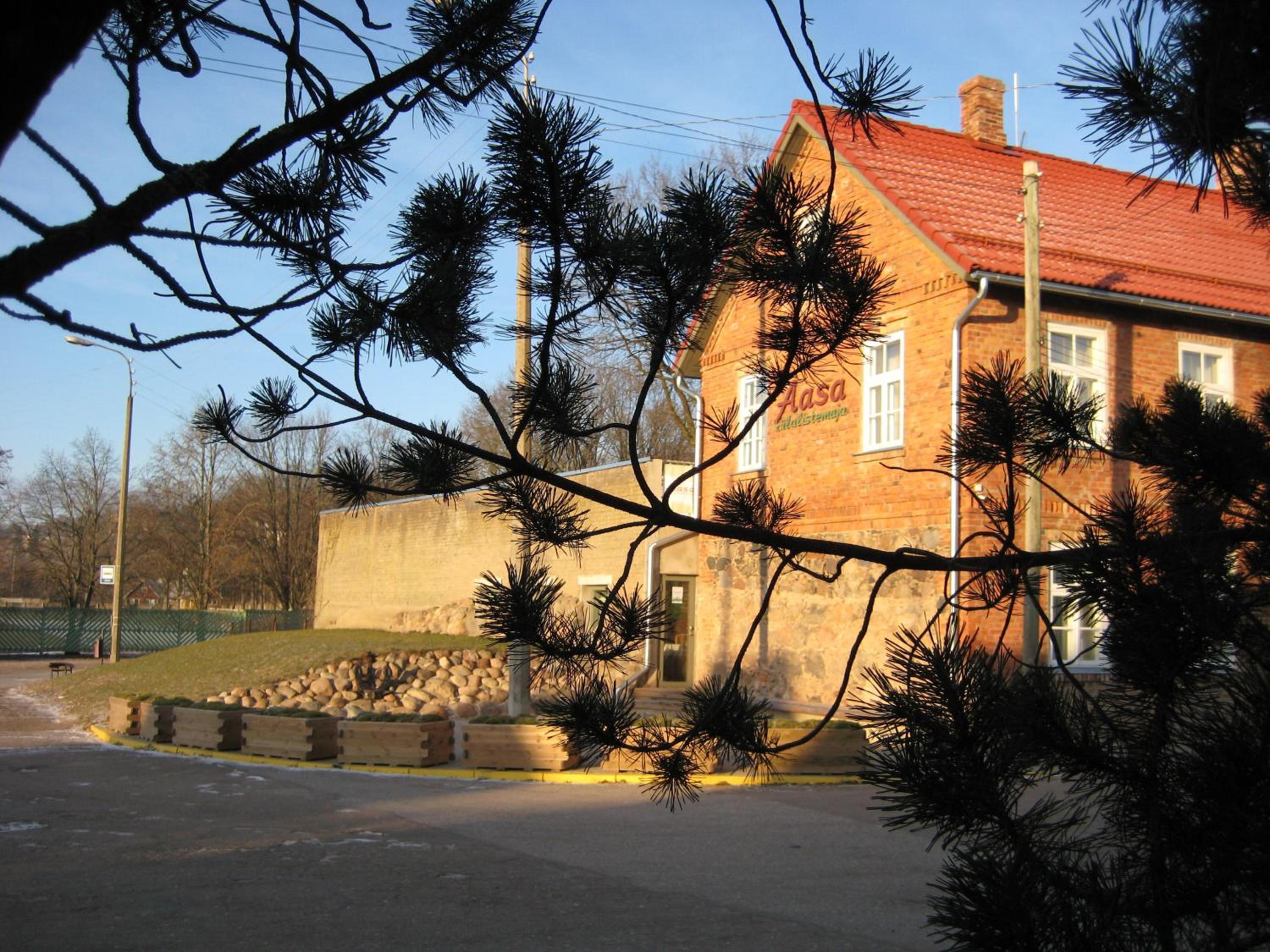 Photo 10