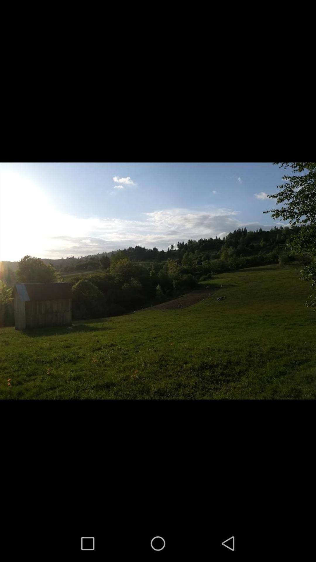 Photo 36