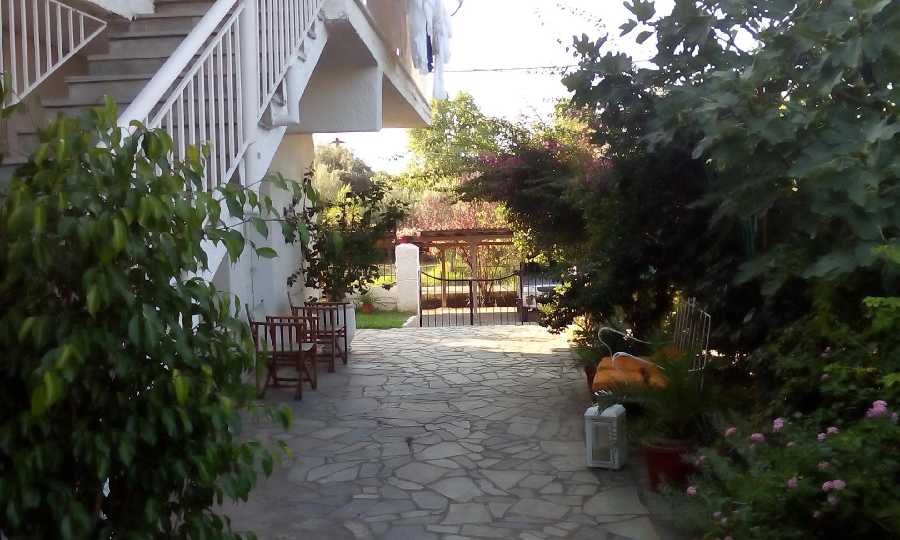 Photo 7