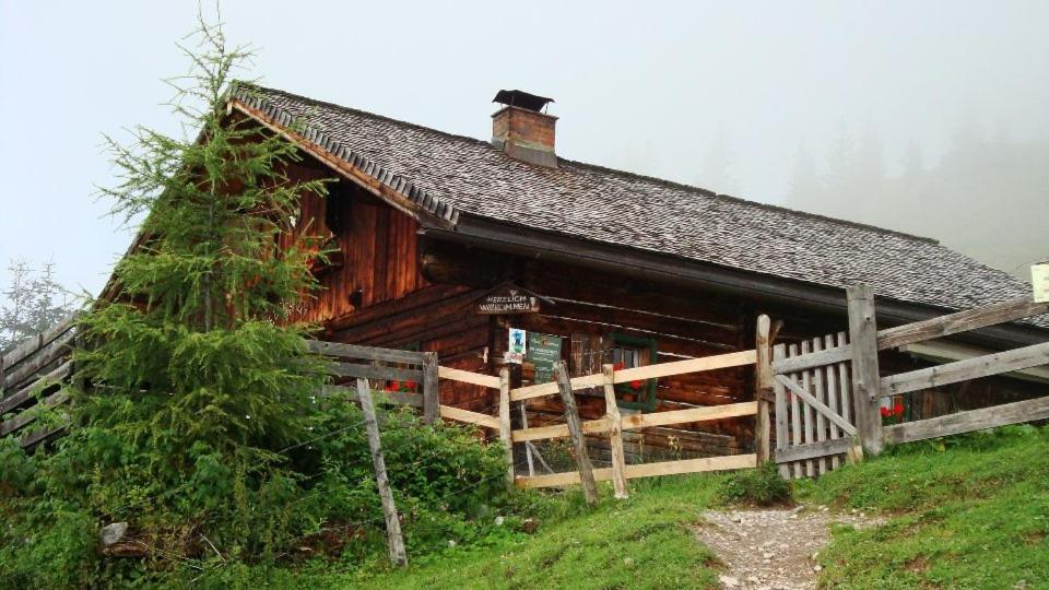 Photo 28