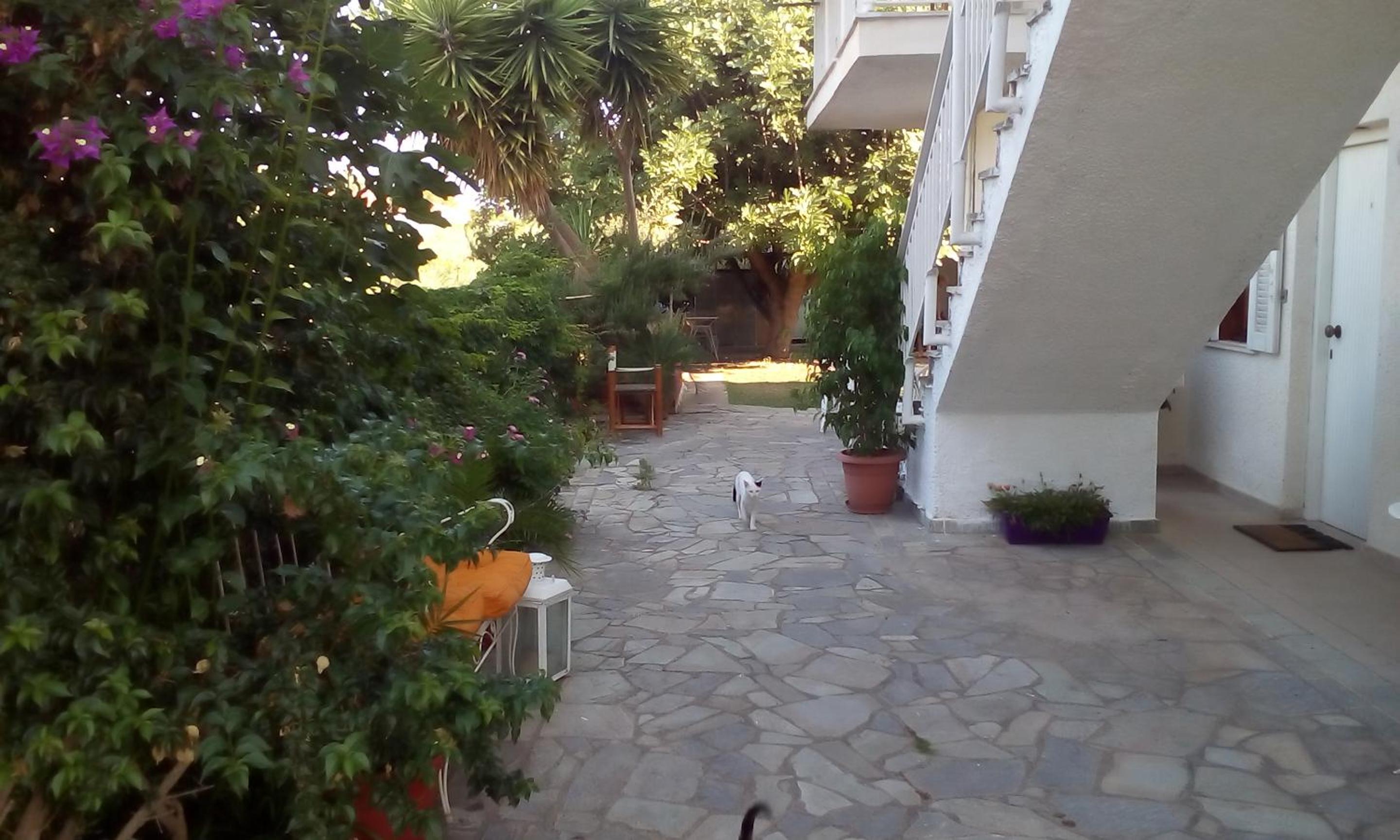 Vasiliki Apartments view 3
