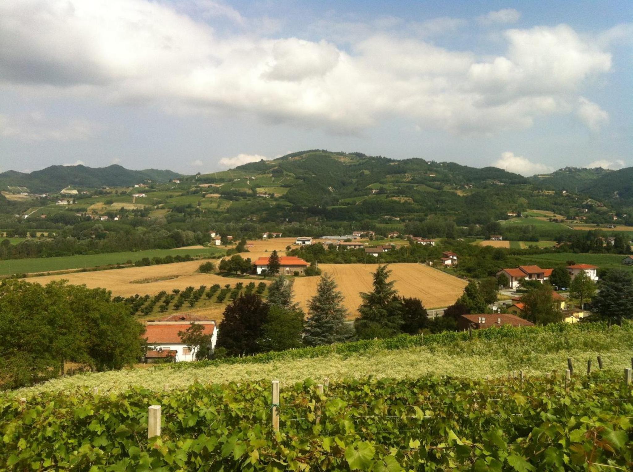 Agriturismo Poderi Zunino