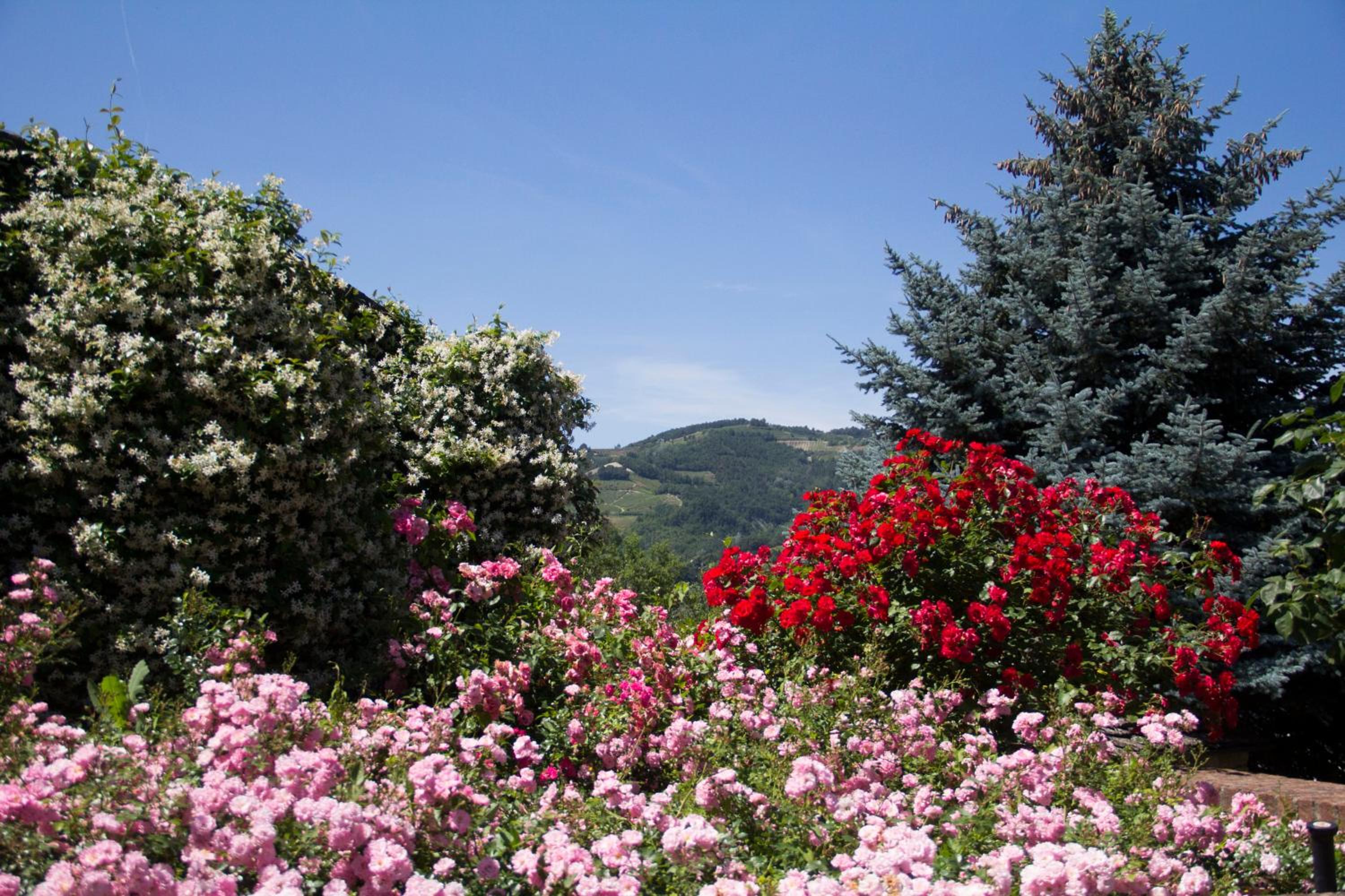 Agriturismo Poderi Zunino