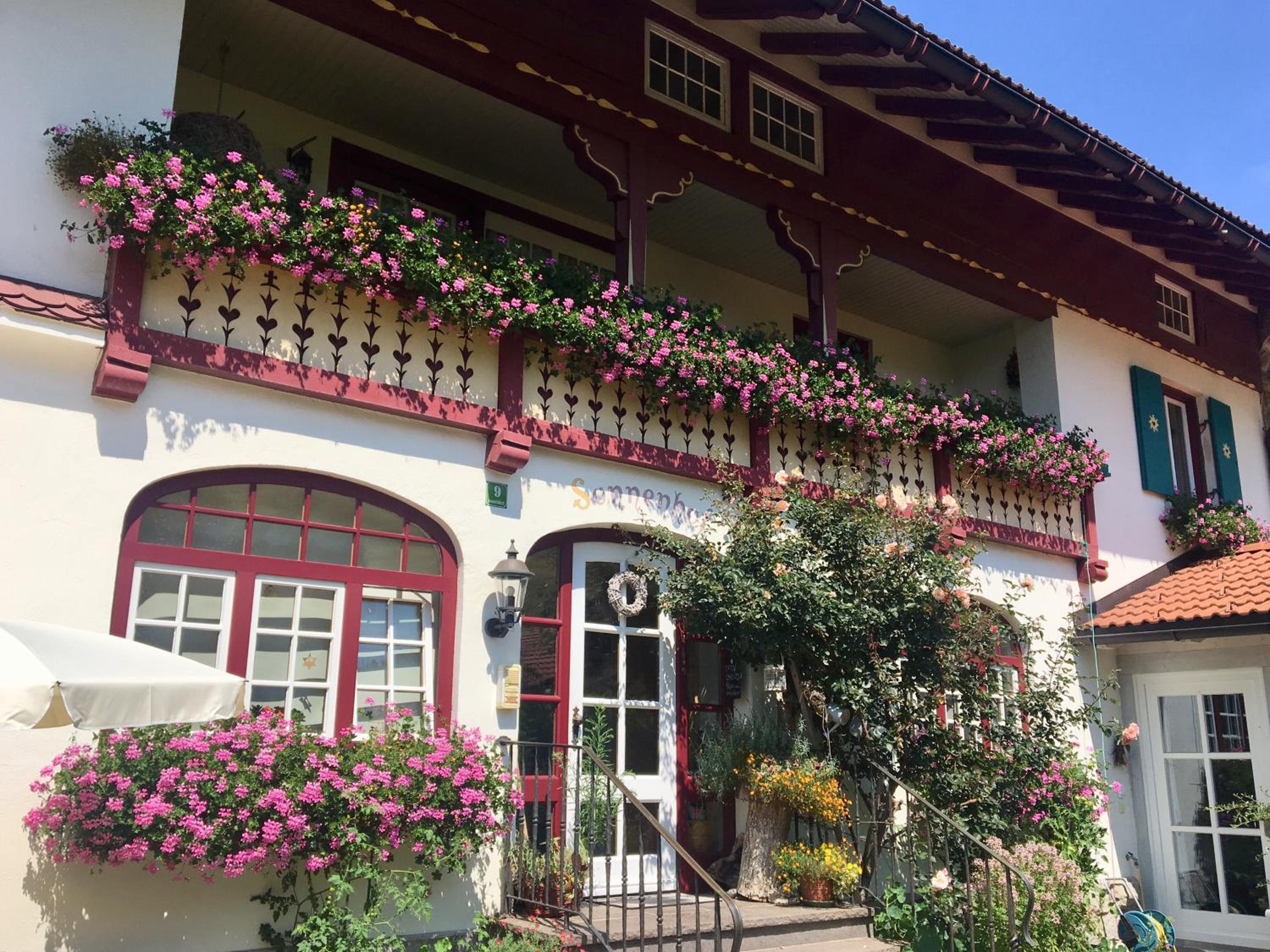 Sonnenhof - Ferienwohnung