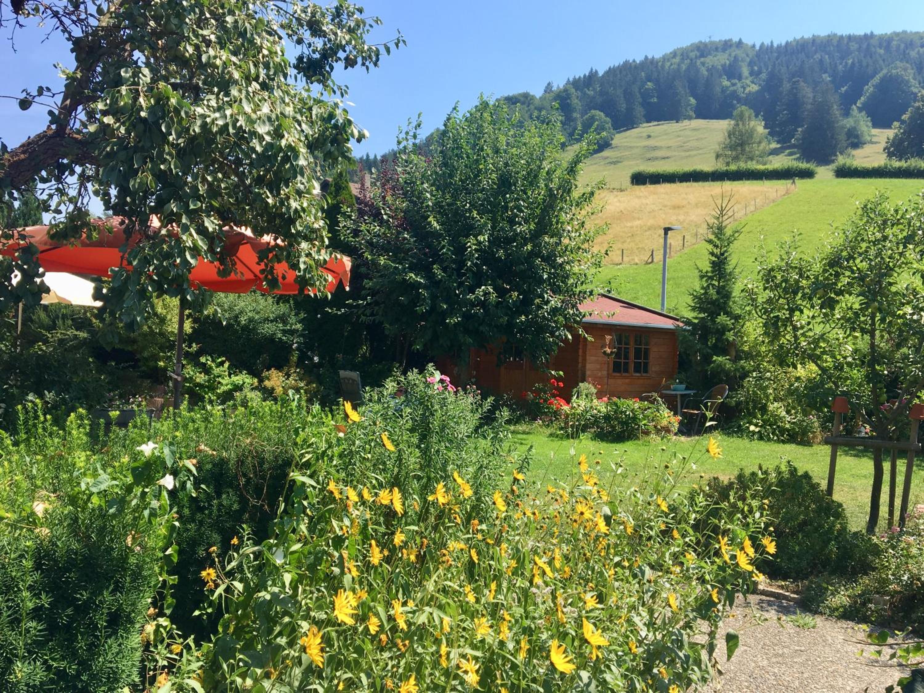 Sonnenhof - Ferienwohnung