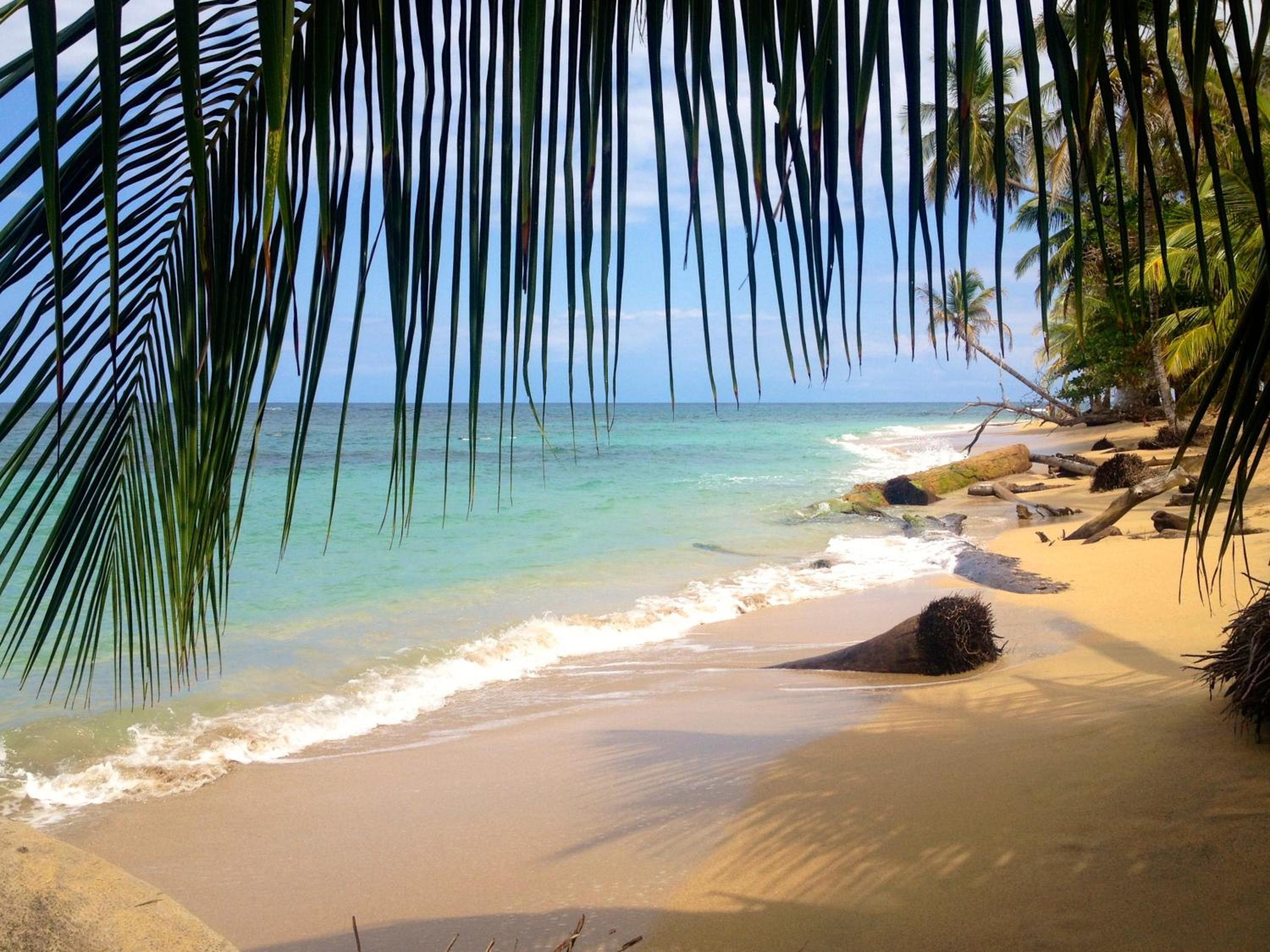 Costa Rica Caribbean Coast Vacations - Physis Caribbean Bed  Breakfast - Property Image 11
