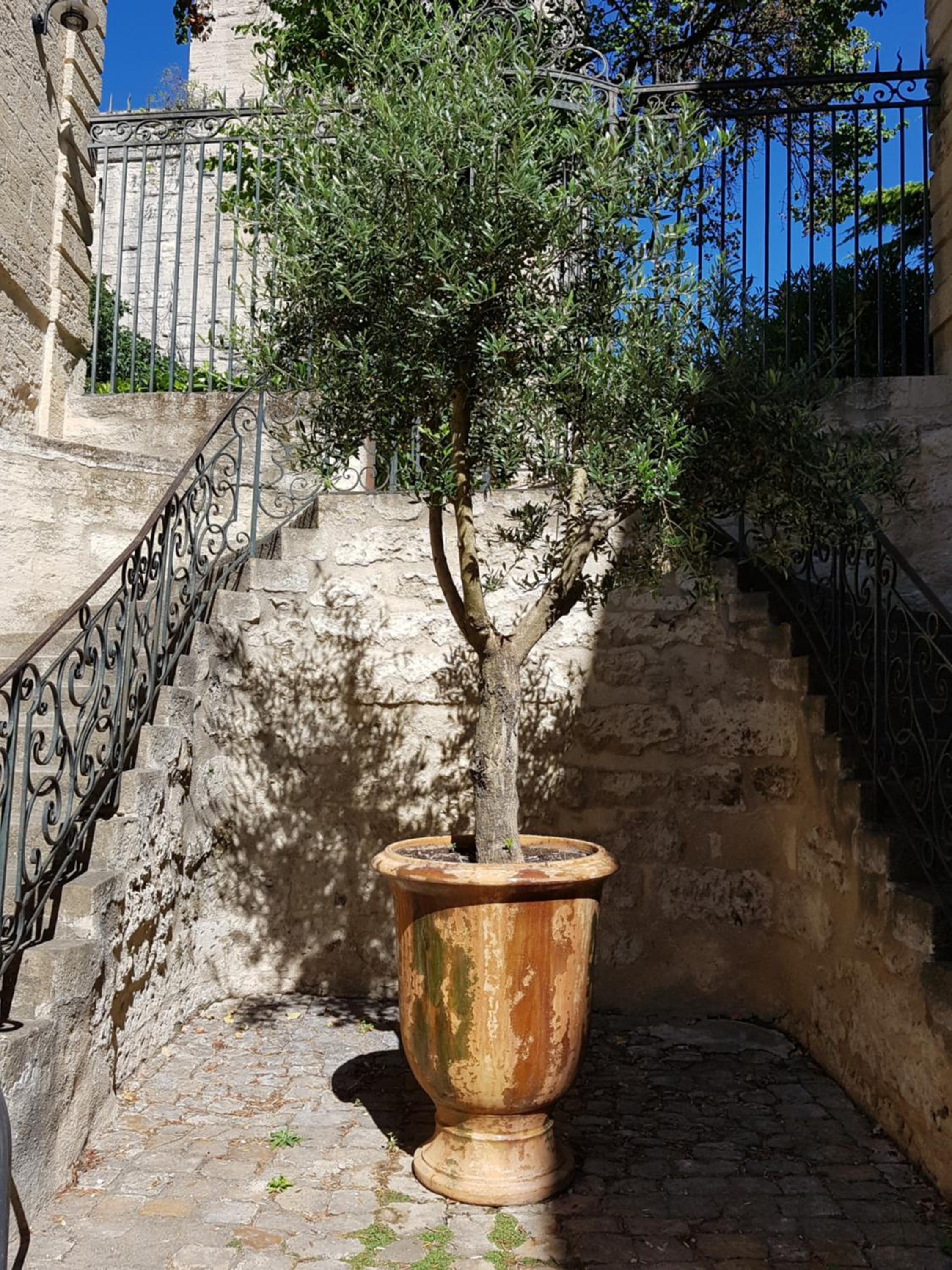 Photo 26