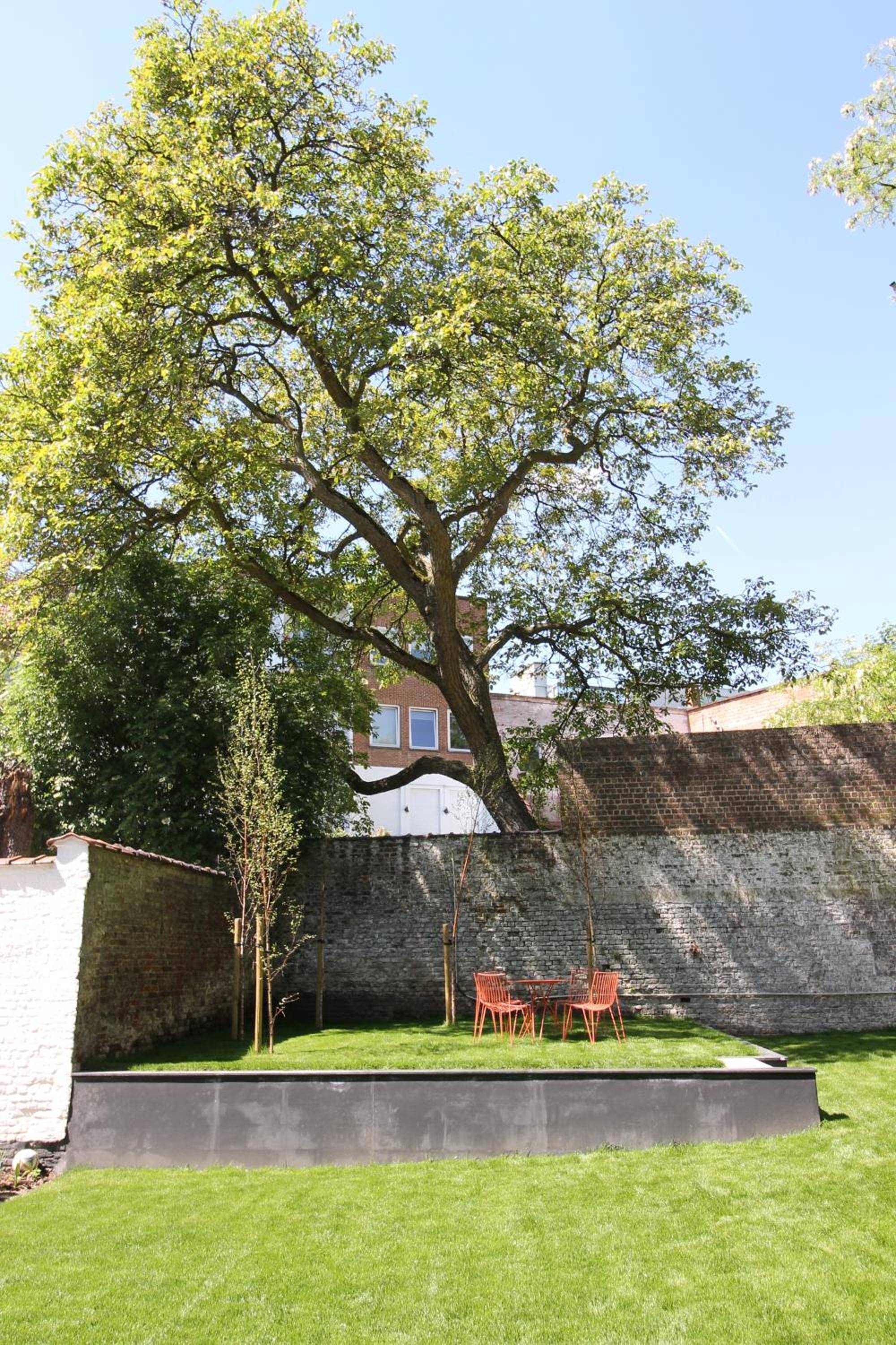 Canopée guesthouse