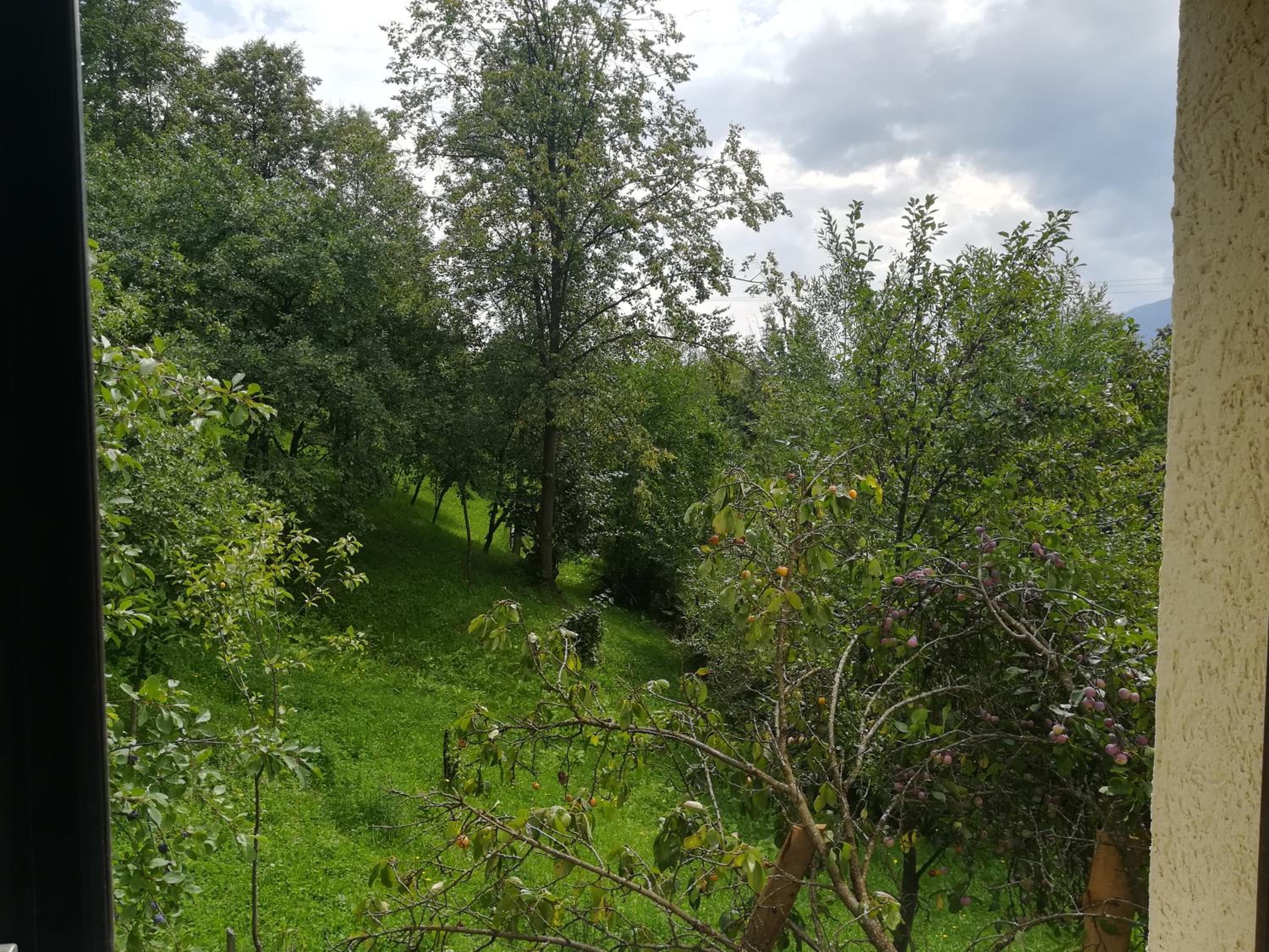 Photo 31