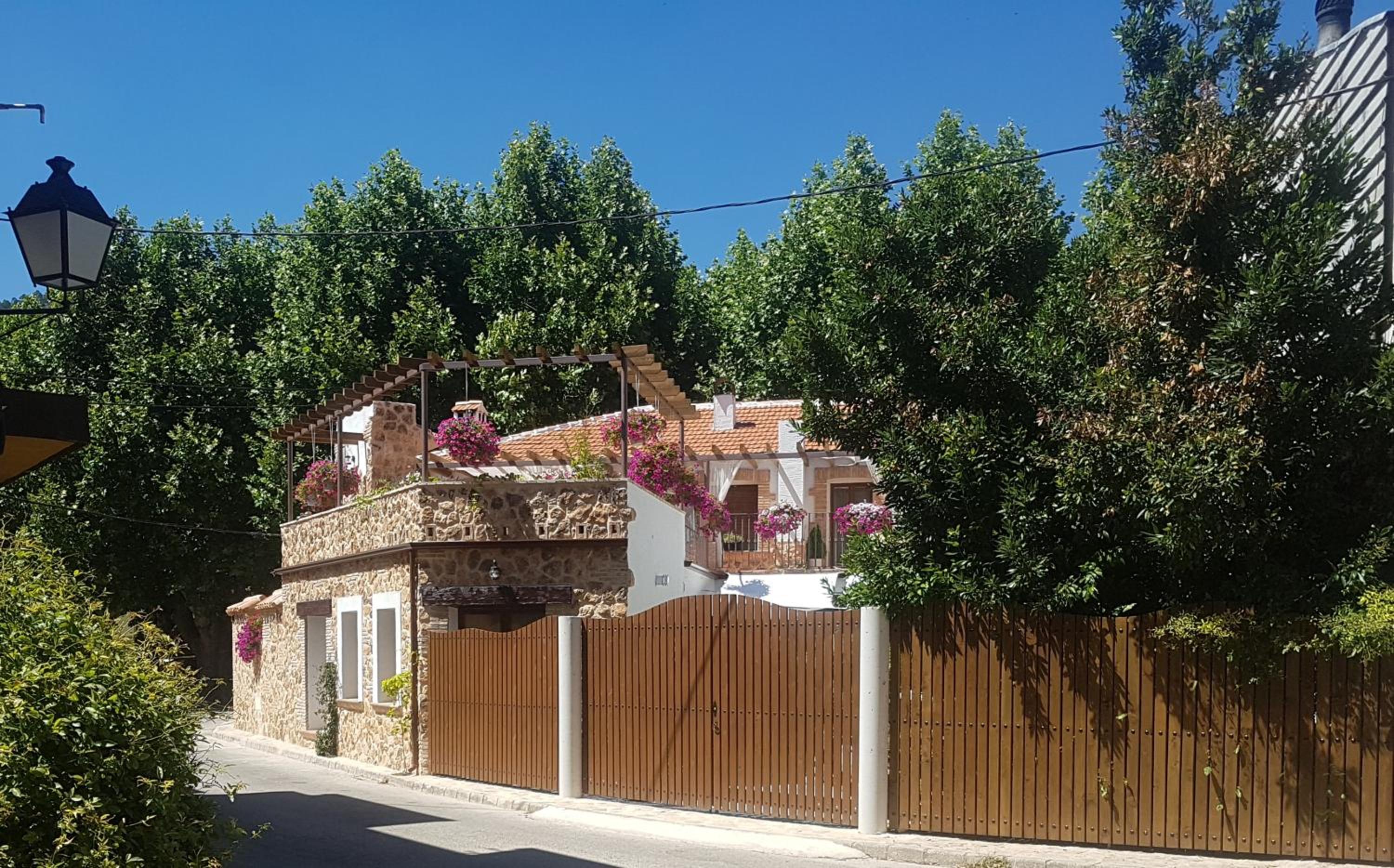 Photo 16