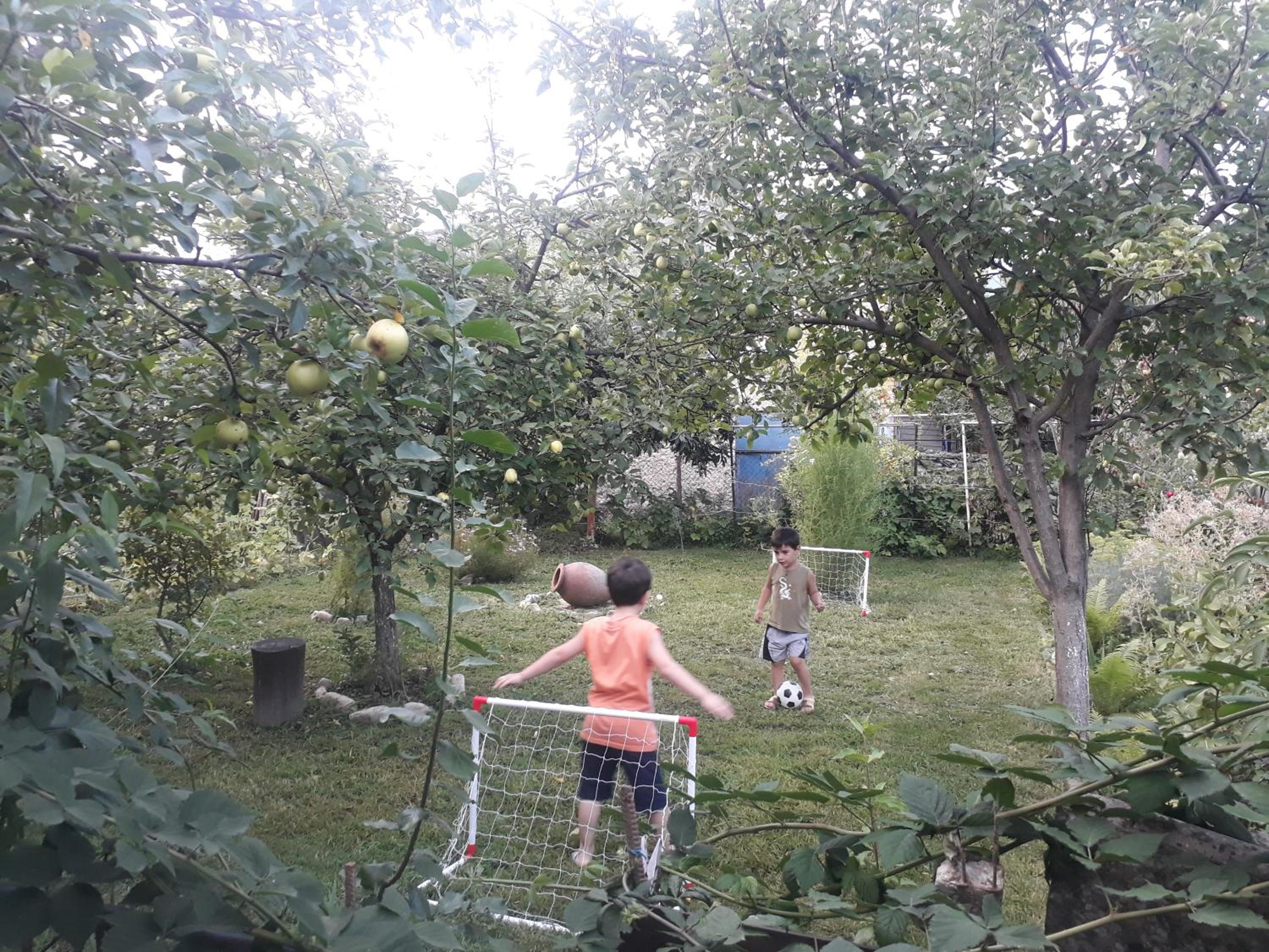 Photo 45