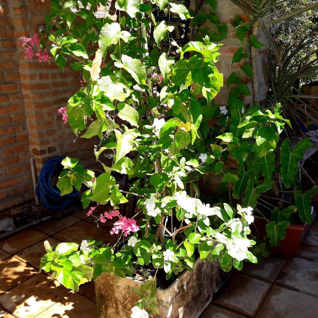 Photo 31