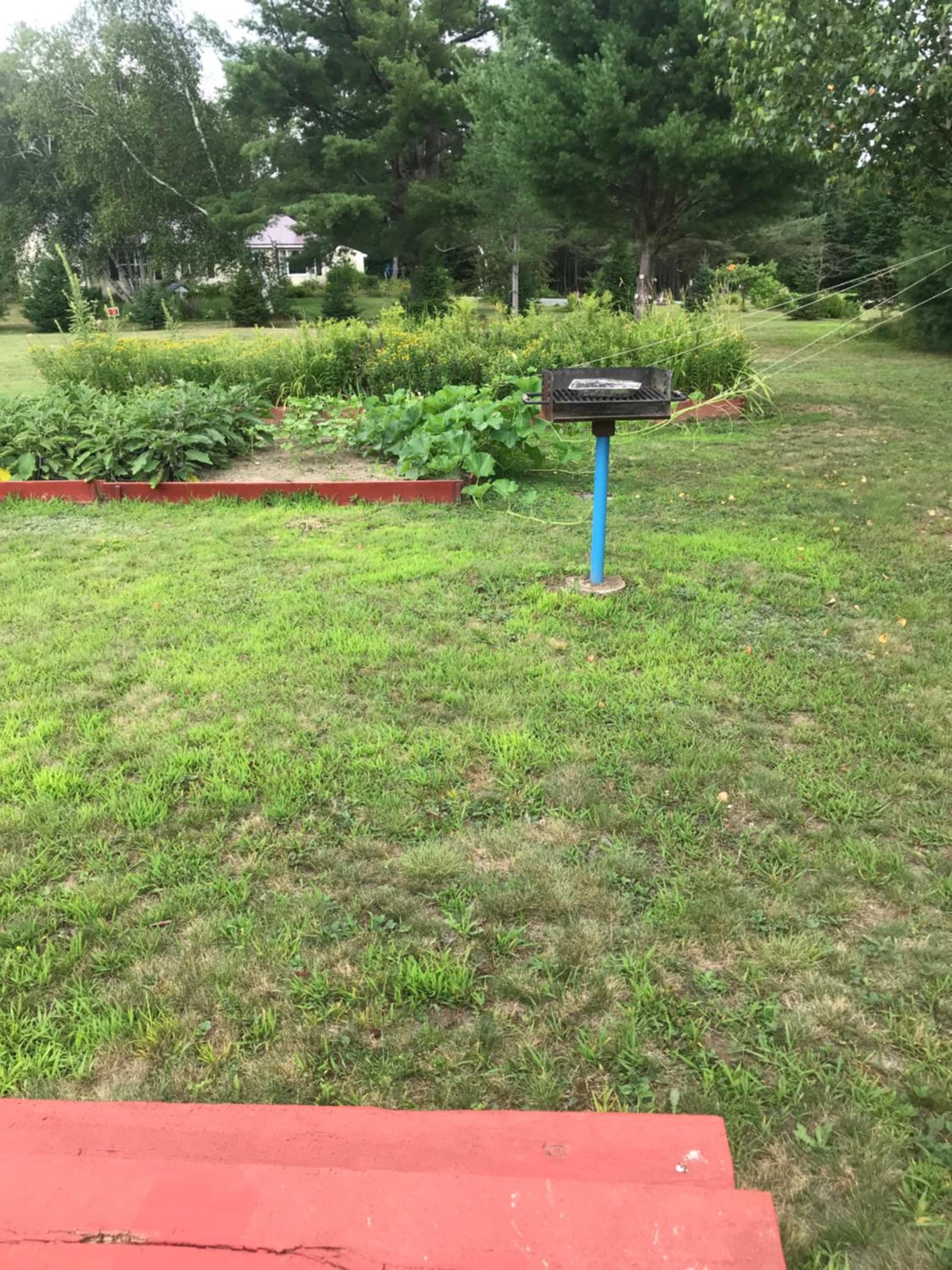 Photo 41