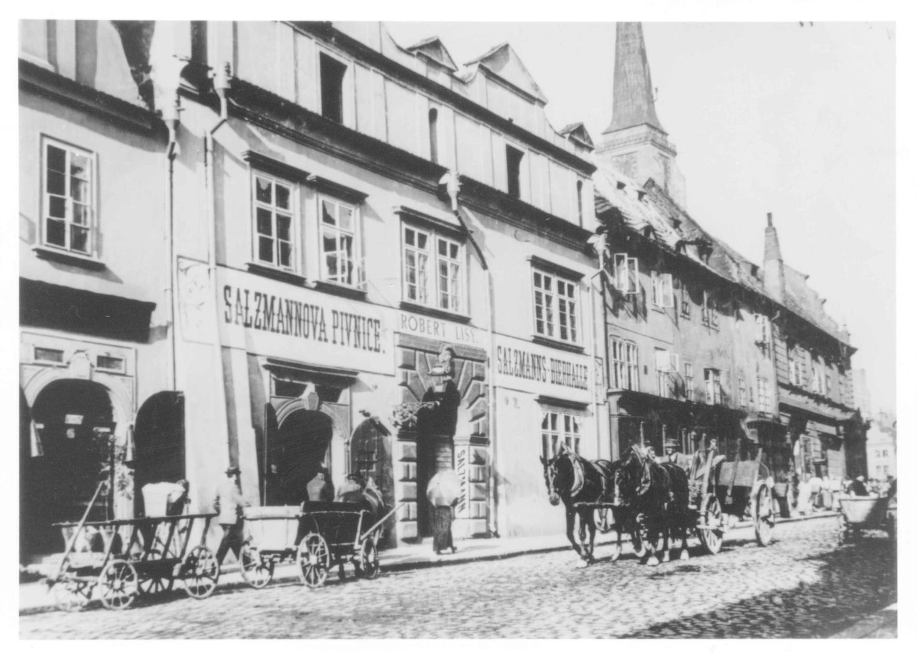 Plzen Vacations - Hotel U Salzmannu - Property Image 2