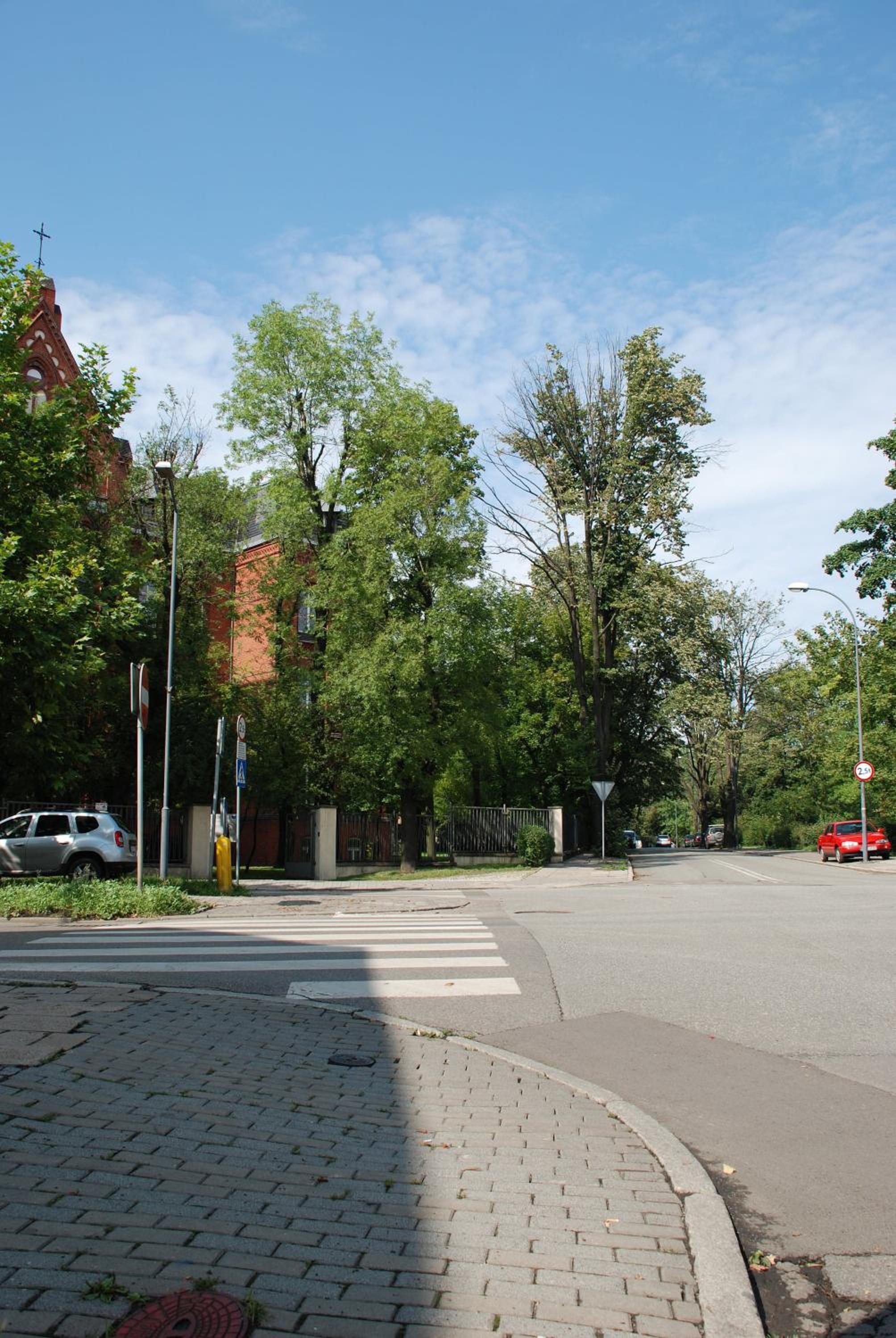 Photo 42