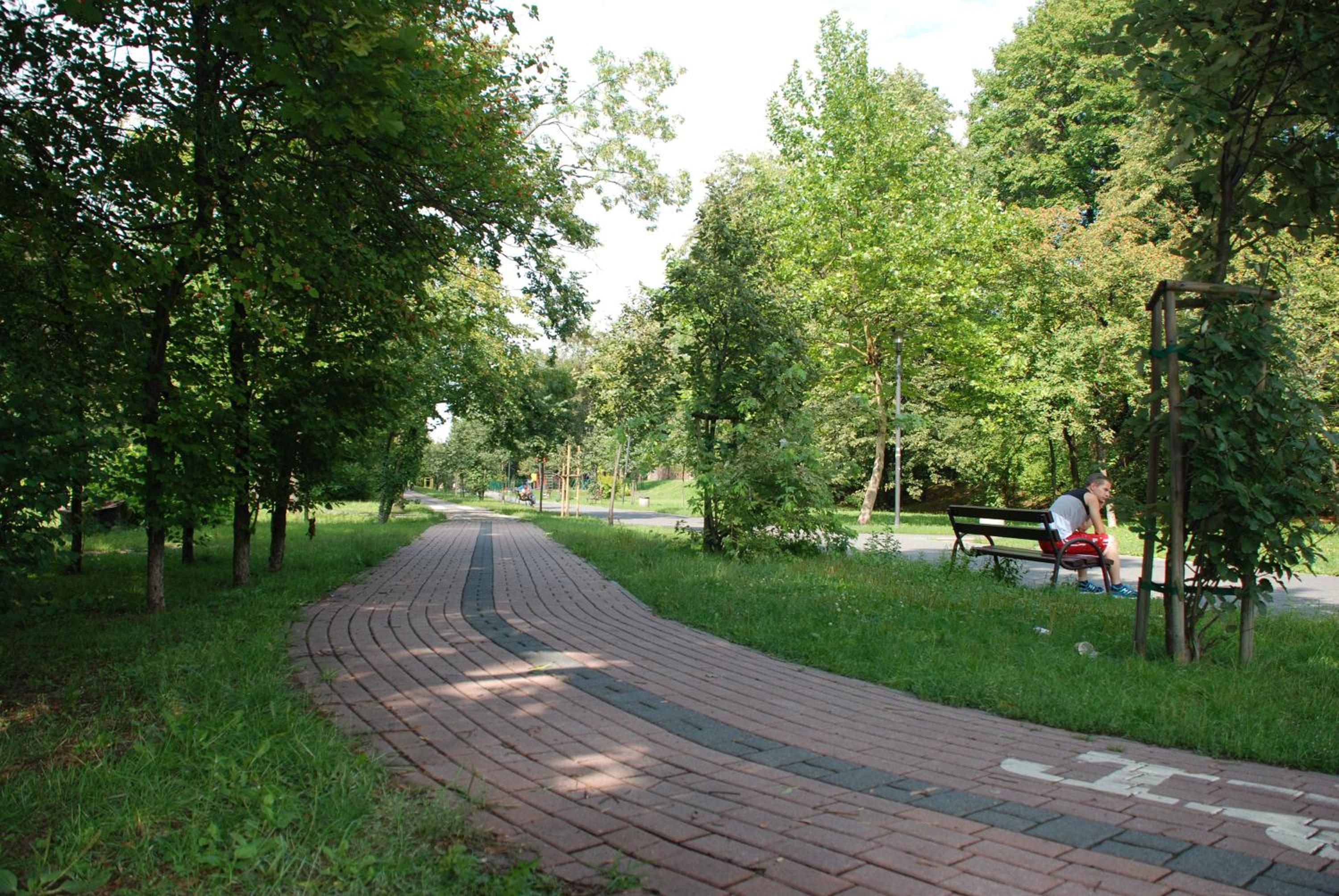 Photo 13