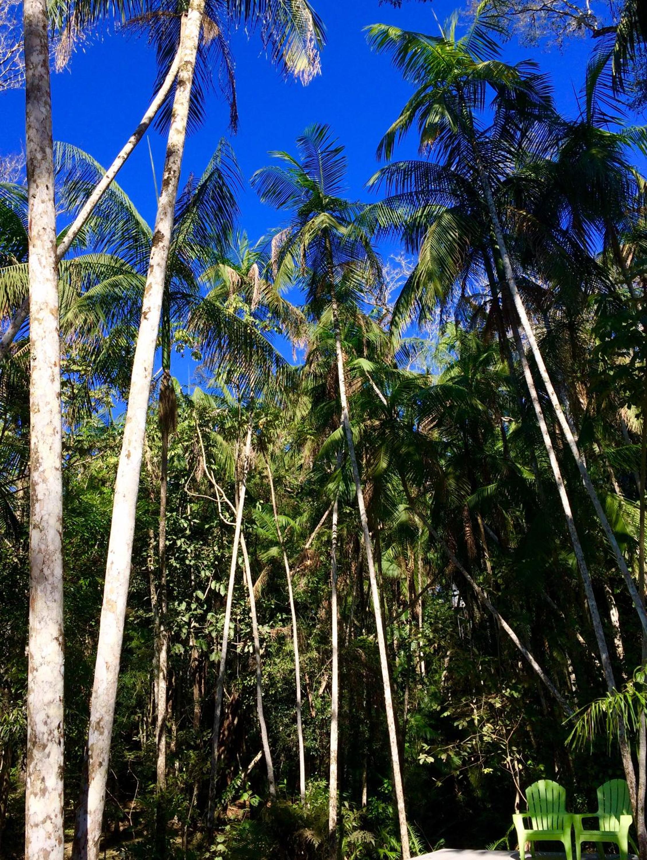 Surucua Reserva & Ecolodge