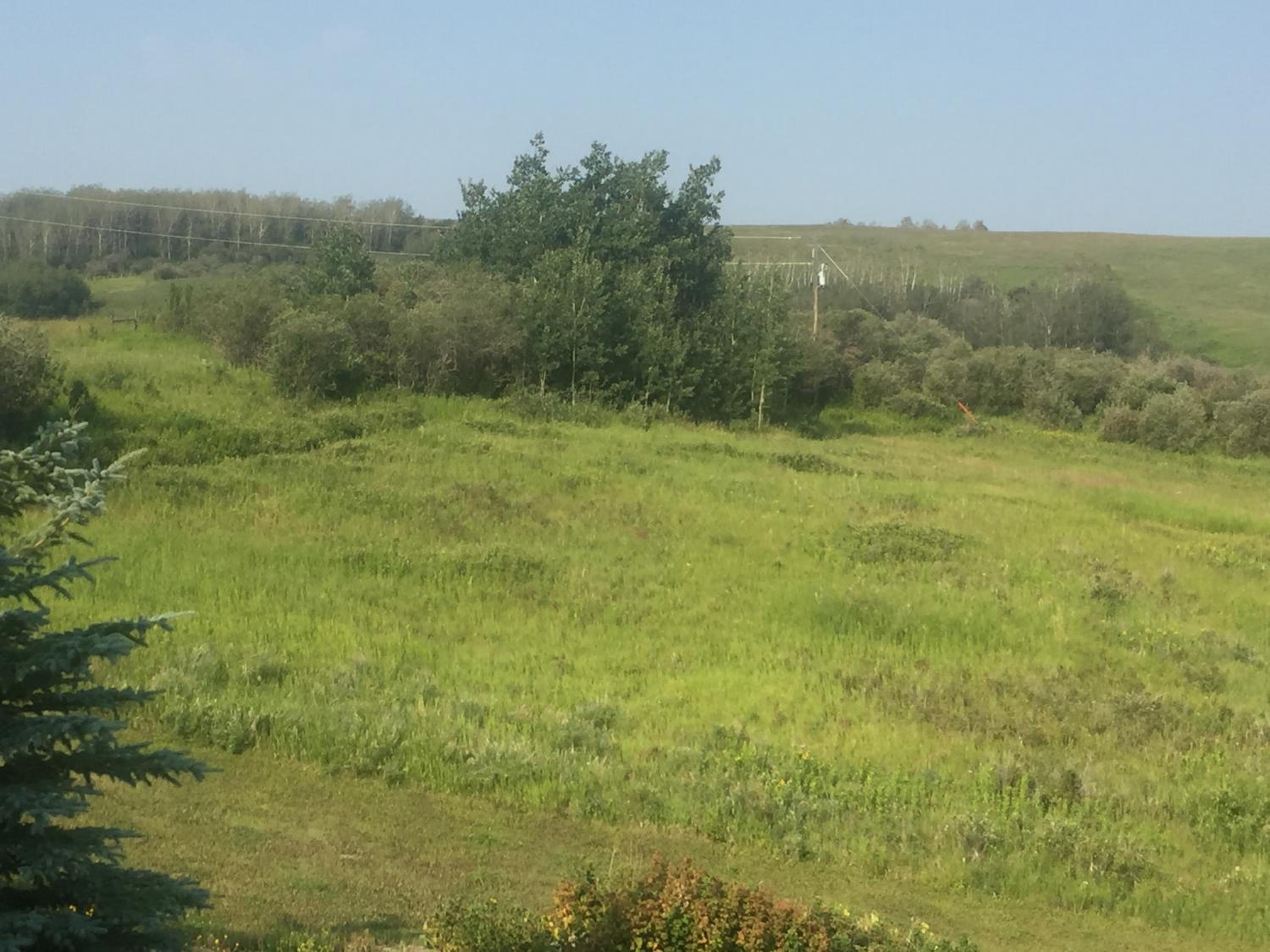 Misty Ridge Retreat B&B