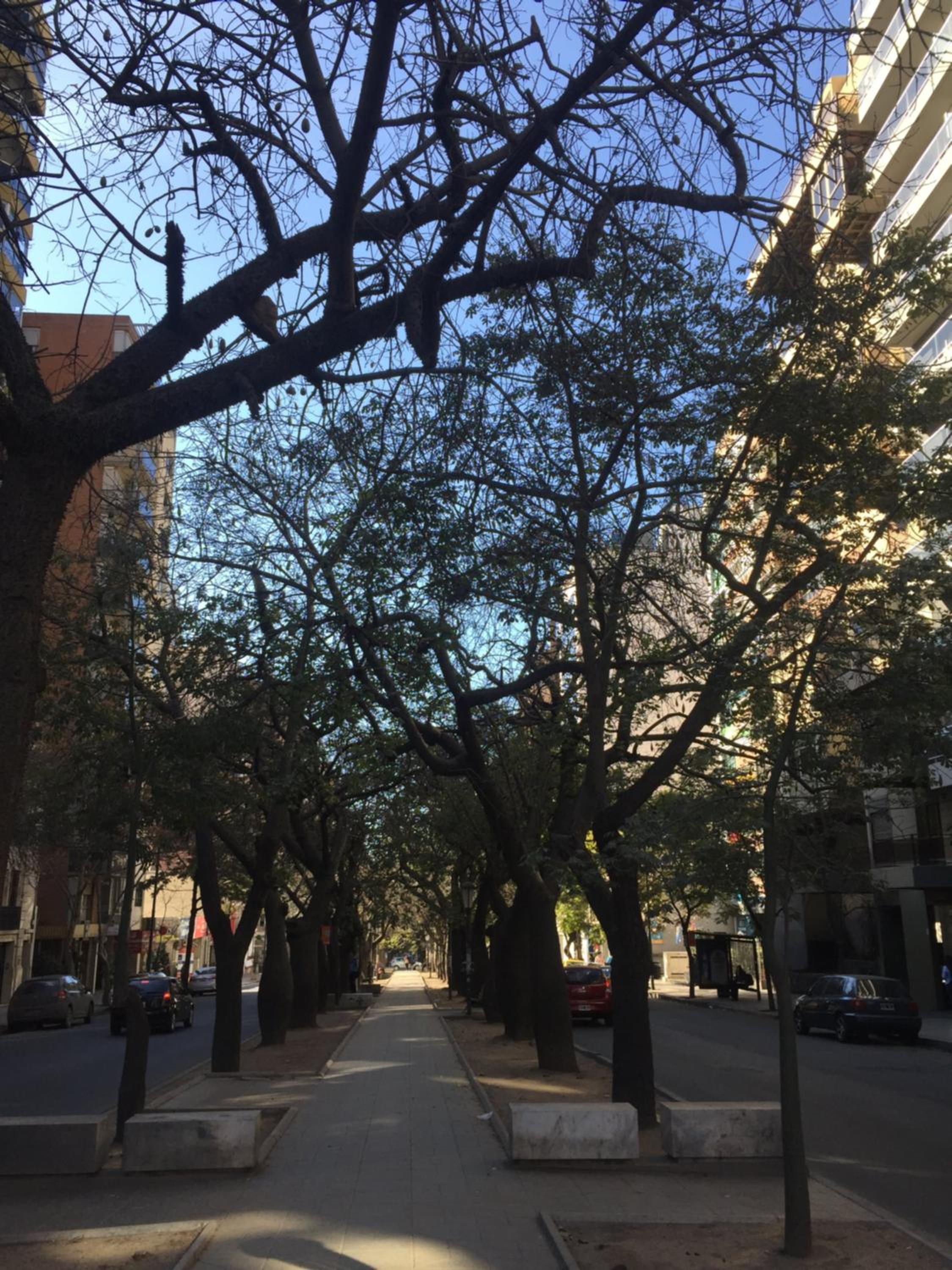 Chacabuco Park