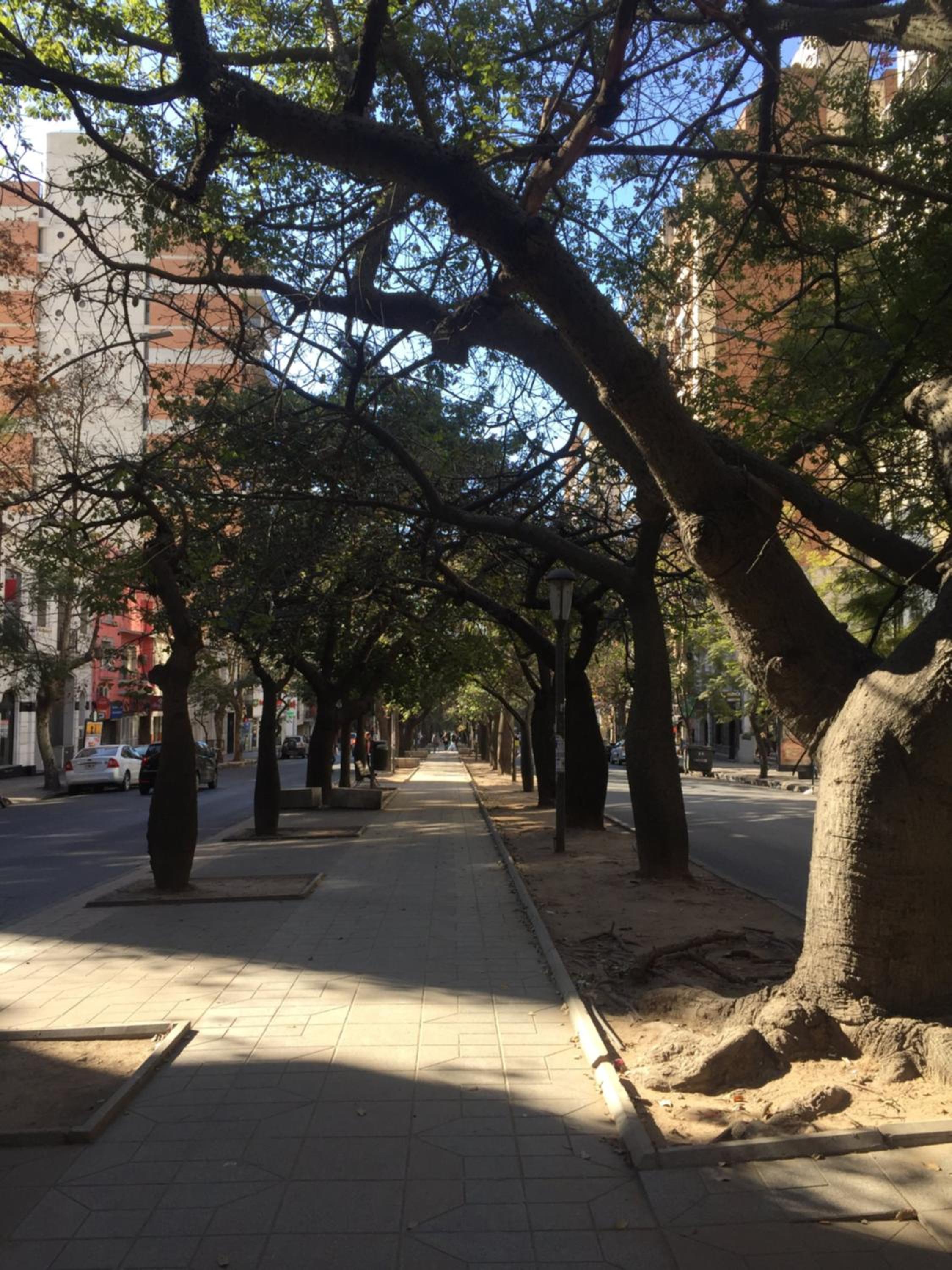 Chacabuco Park
