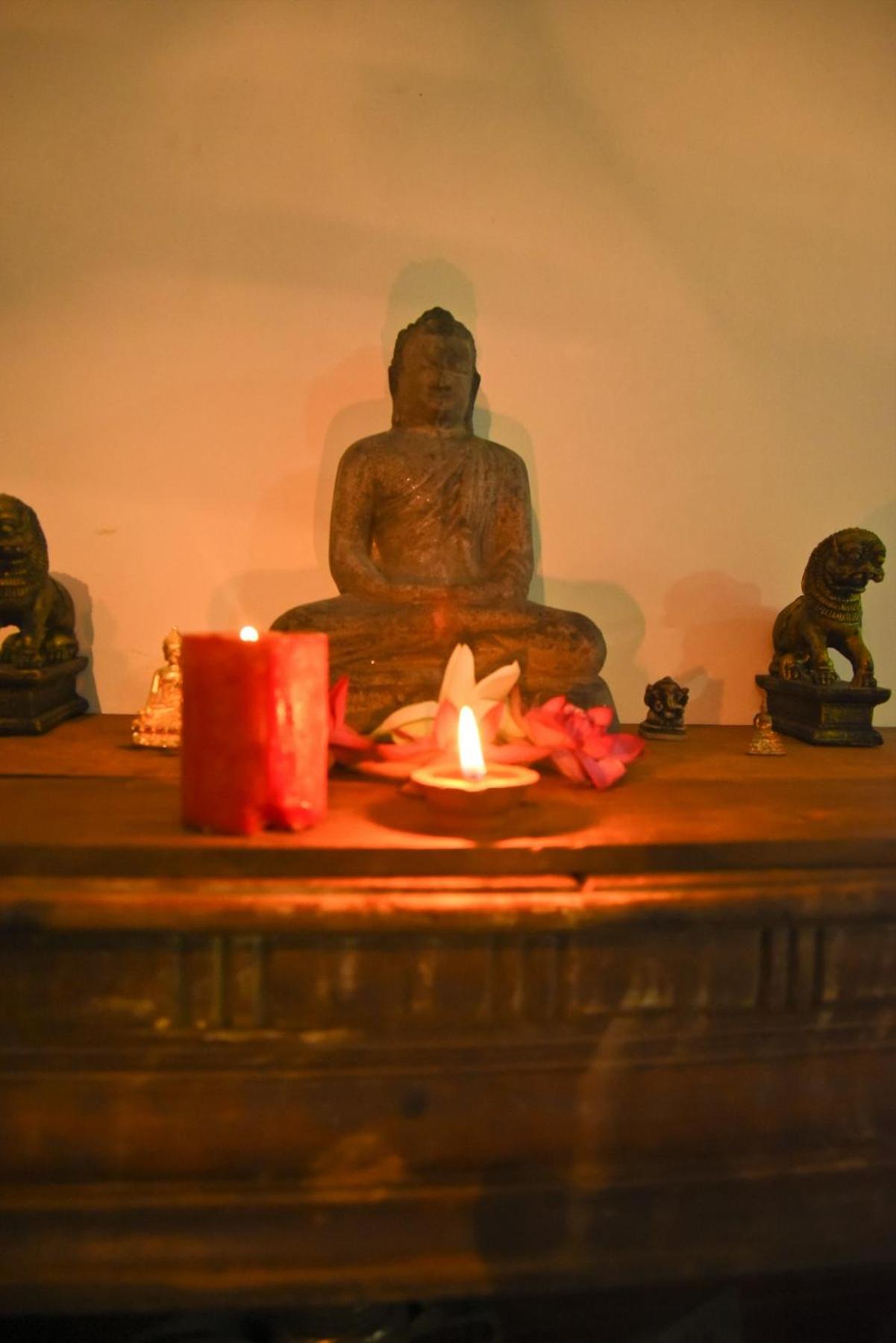 Photo 42