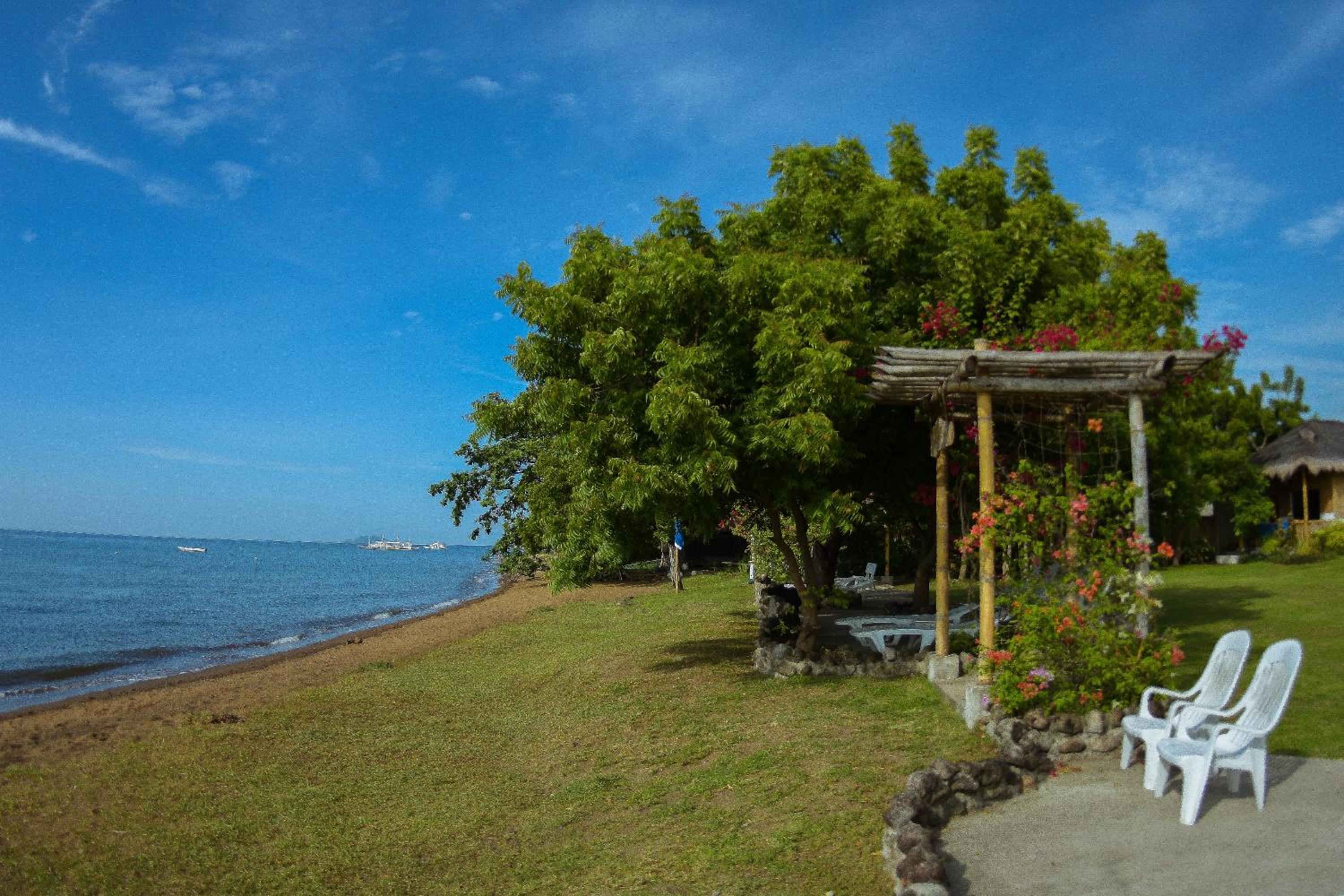 Liquid Dive Resort, Dauin - 13