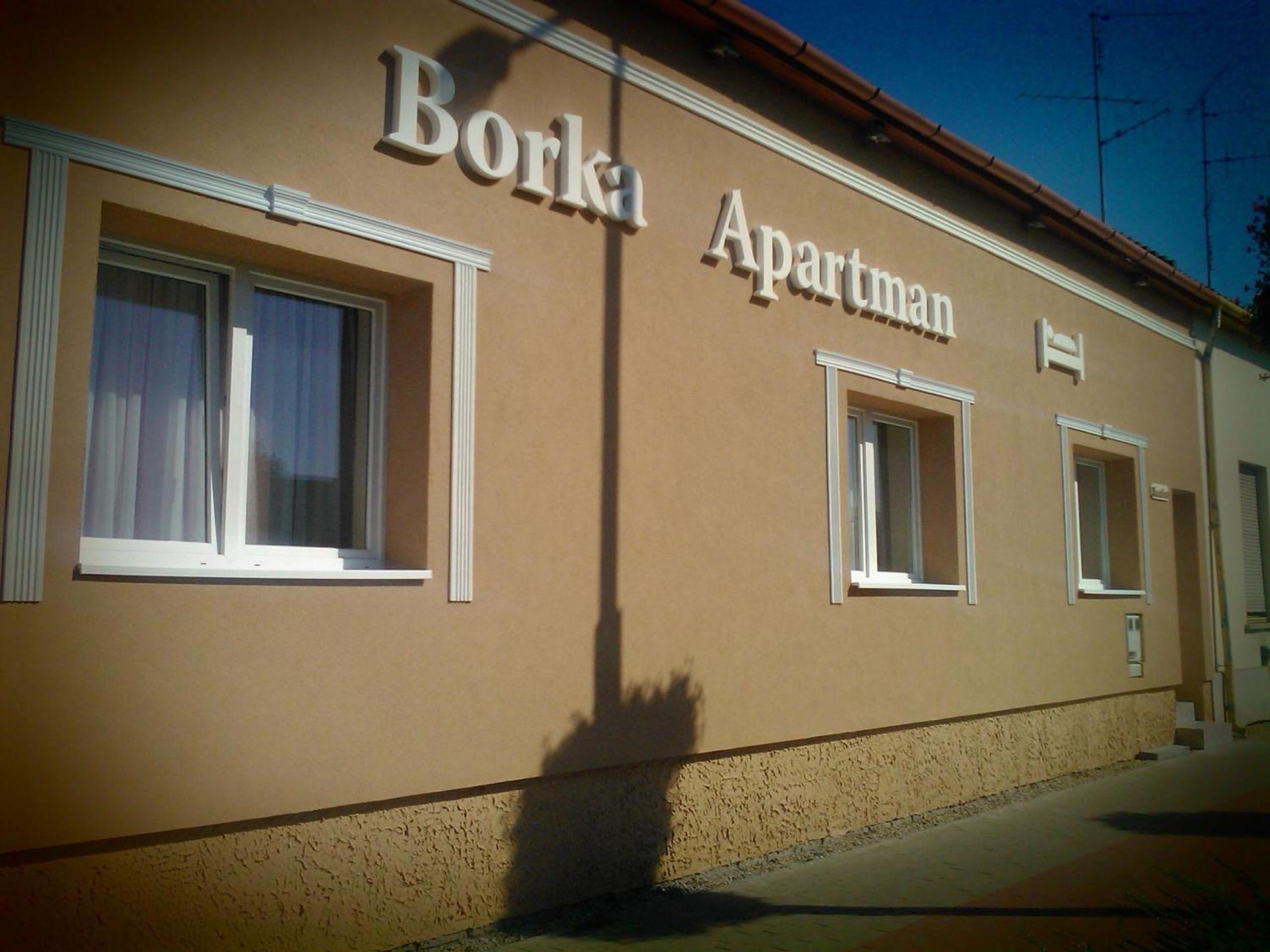 Borka Apartman view 4